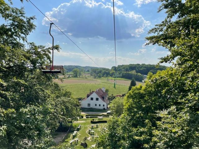 Blauwersnest