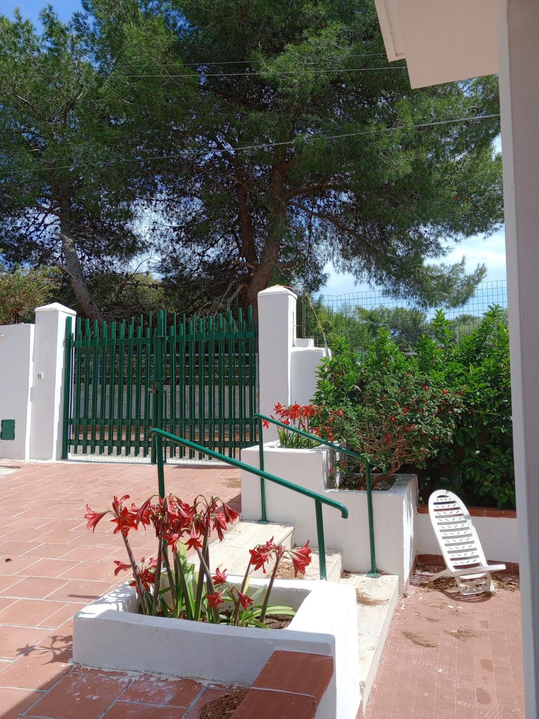 Photo 41