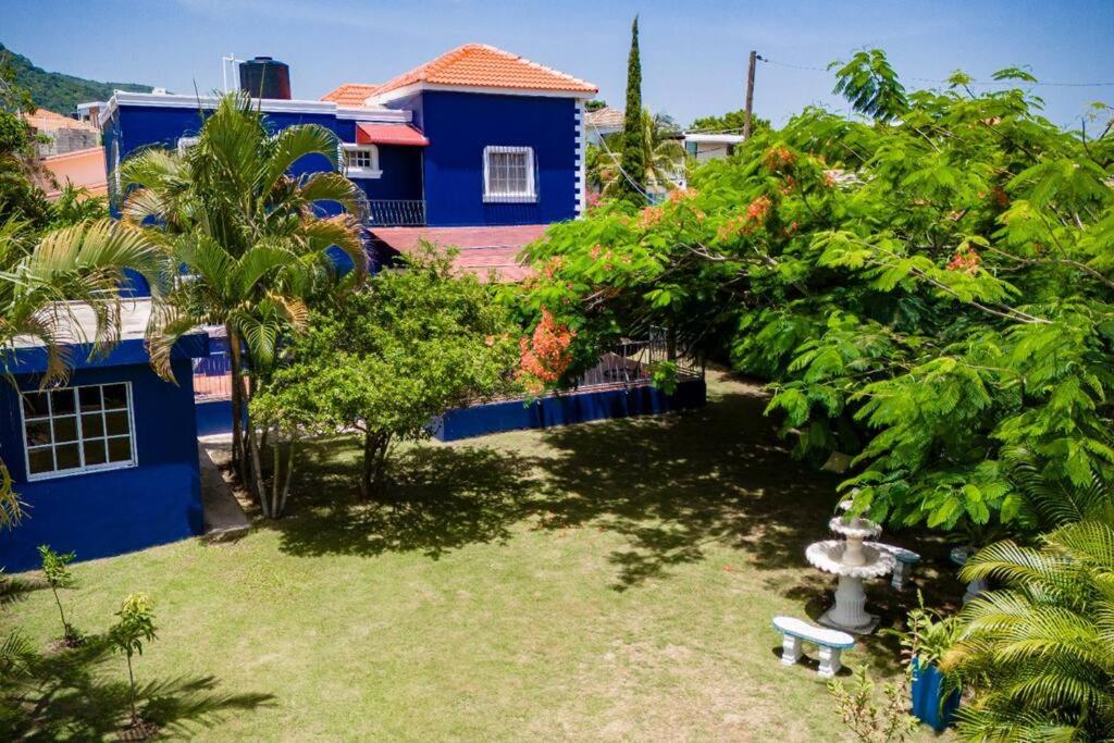 Caribbean Blue Mansion