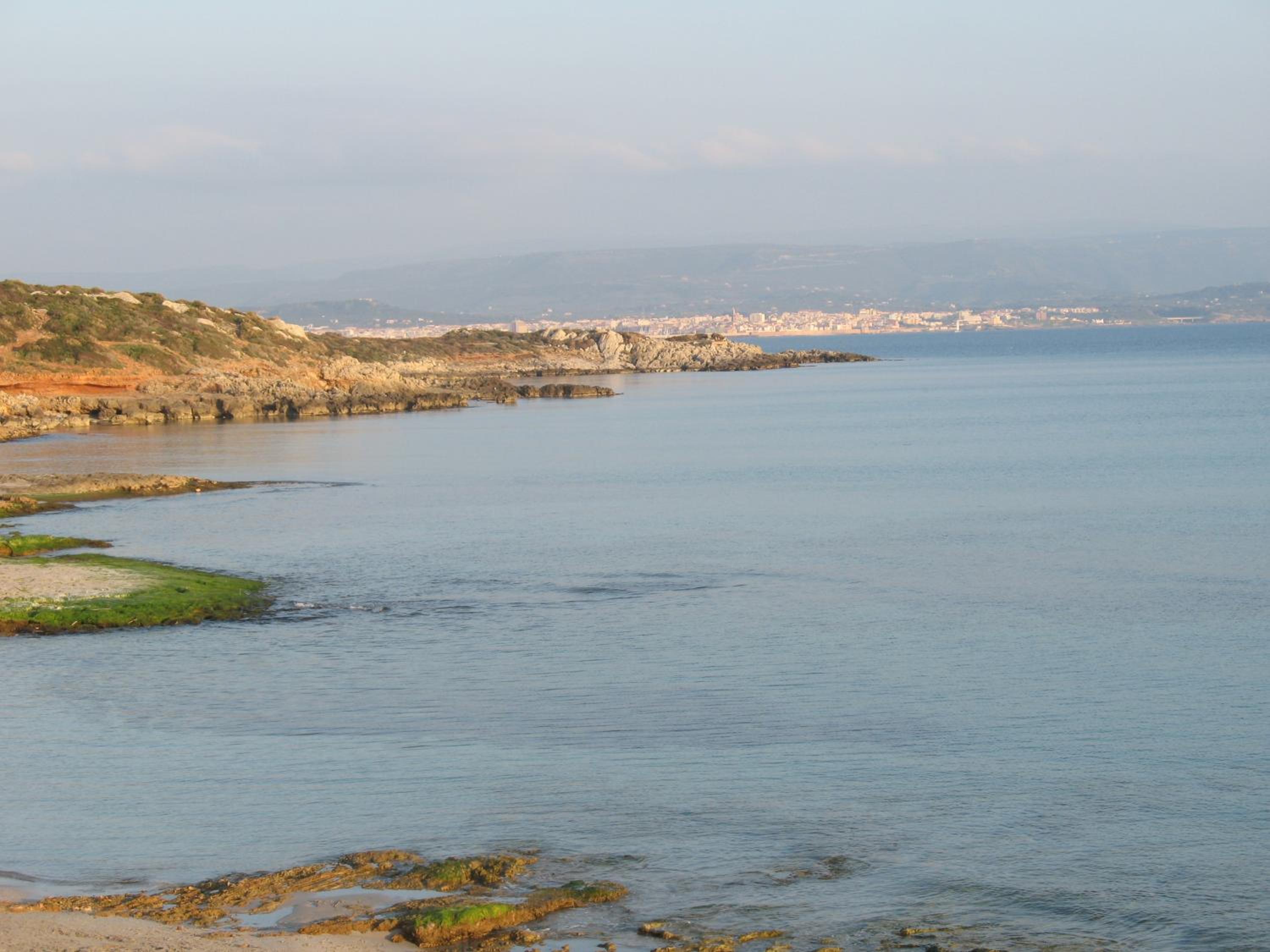Cristta photo 2
