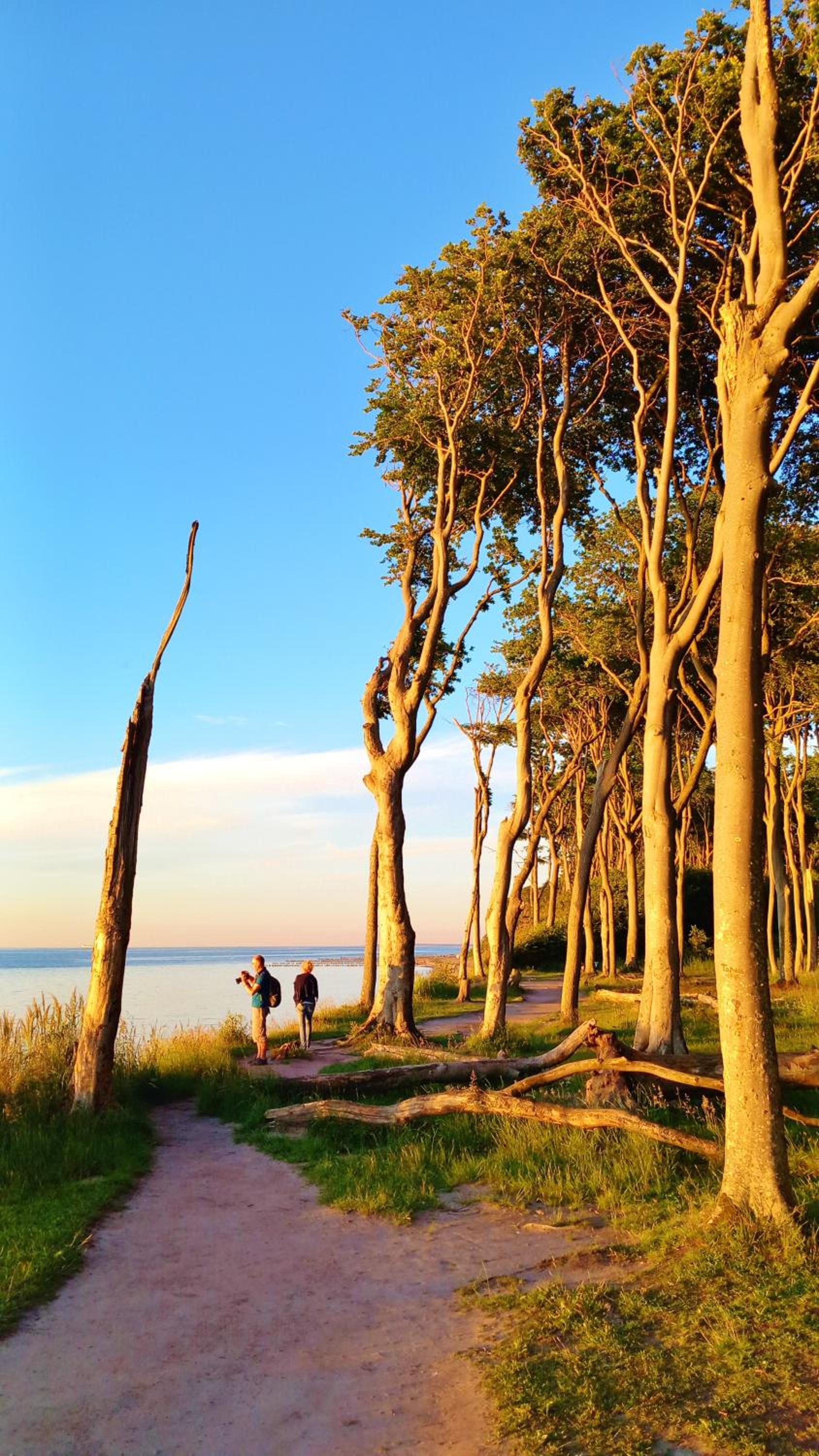 Ostsee Hotel-Pension An der Lindenallee
