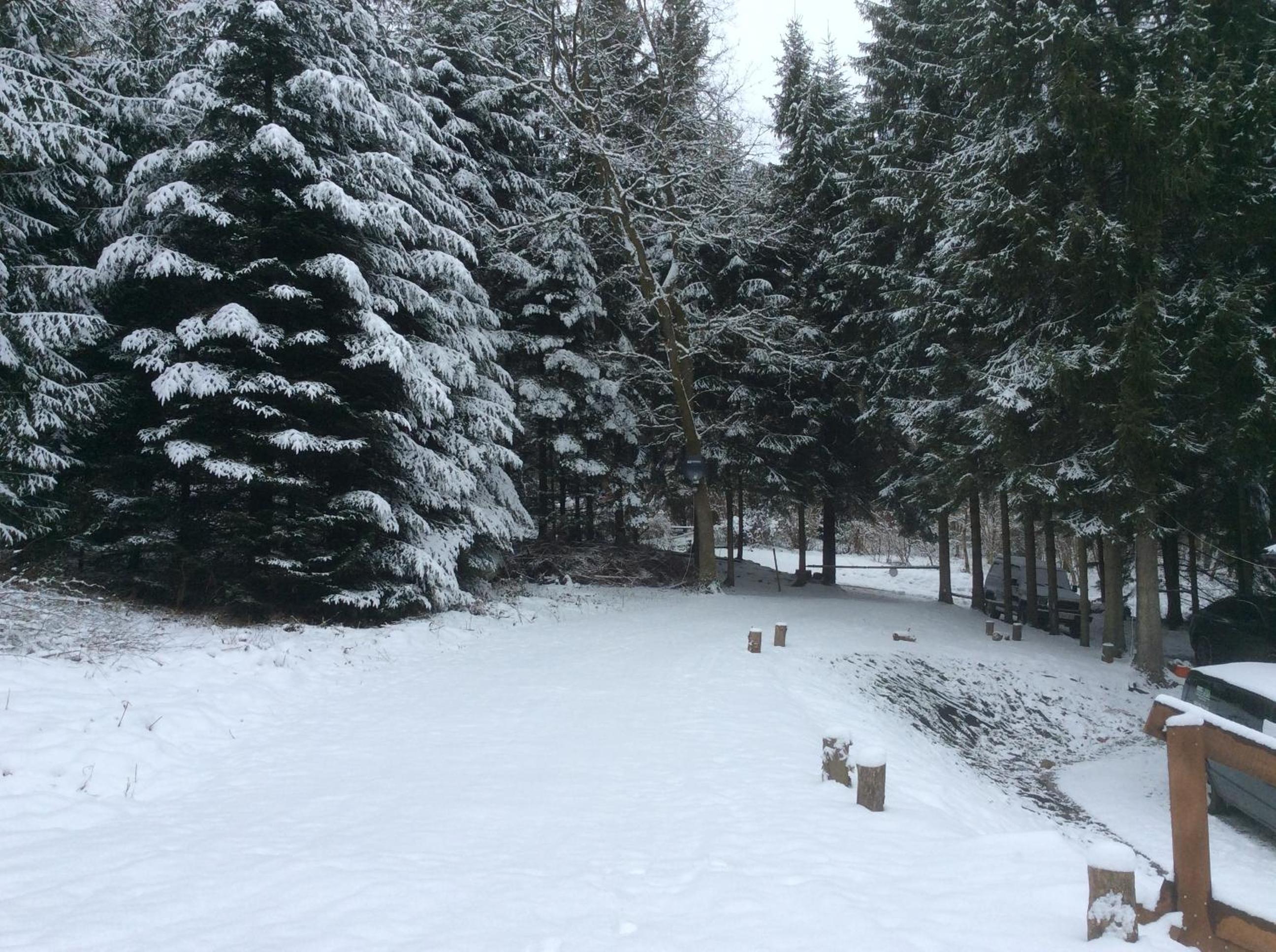 Boshuisje