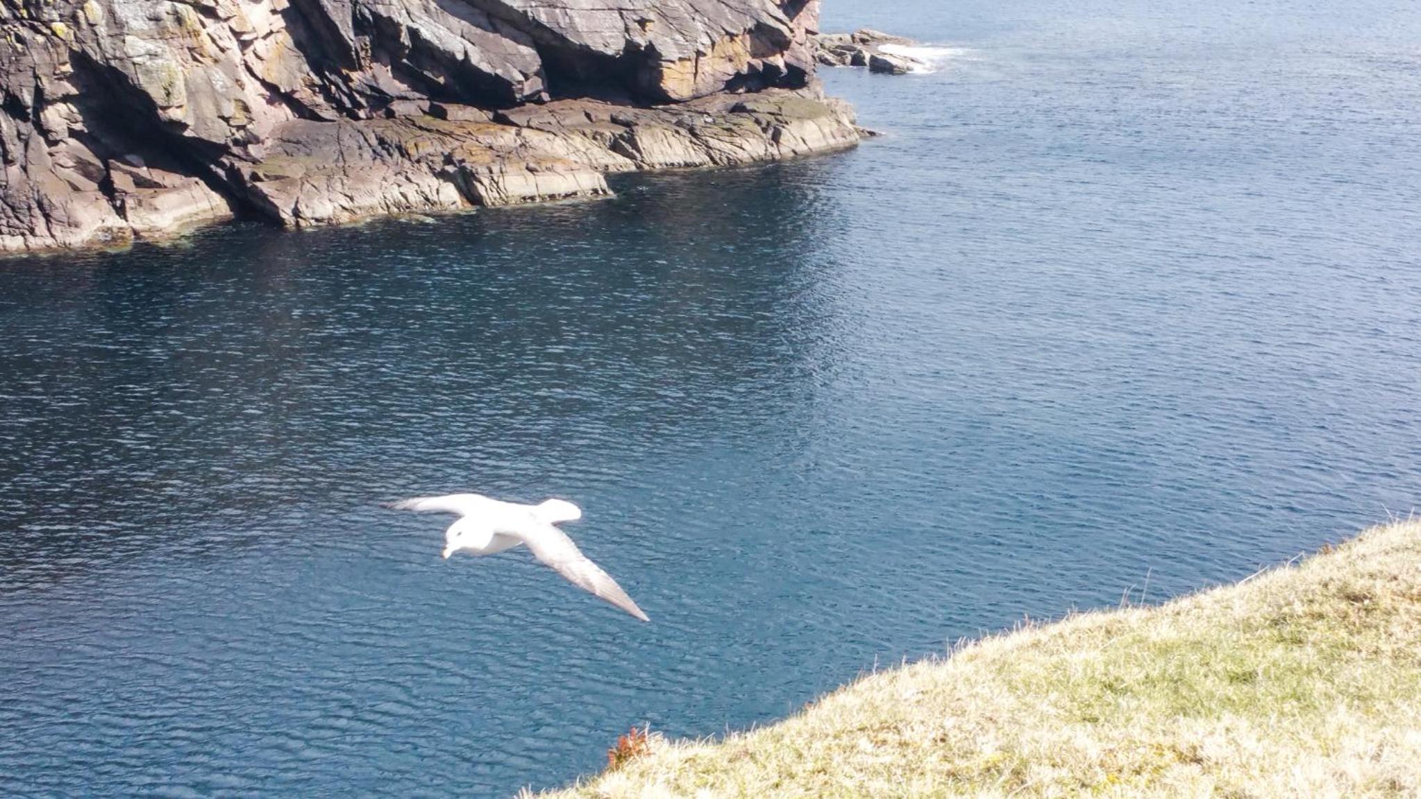 Voortrekker Shetland Holiday Apartments