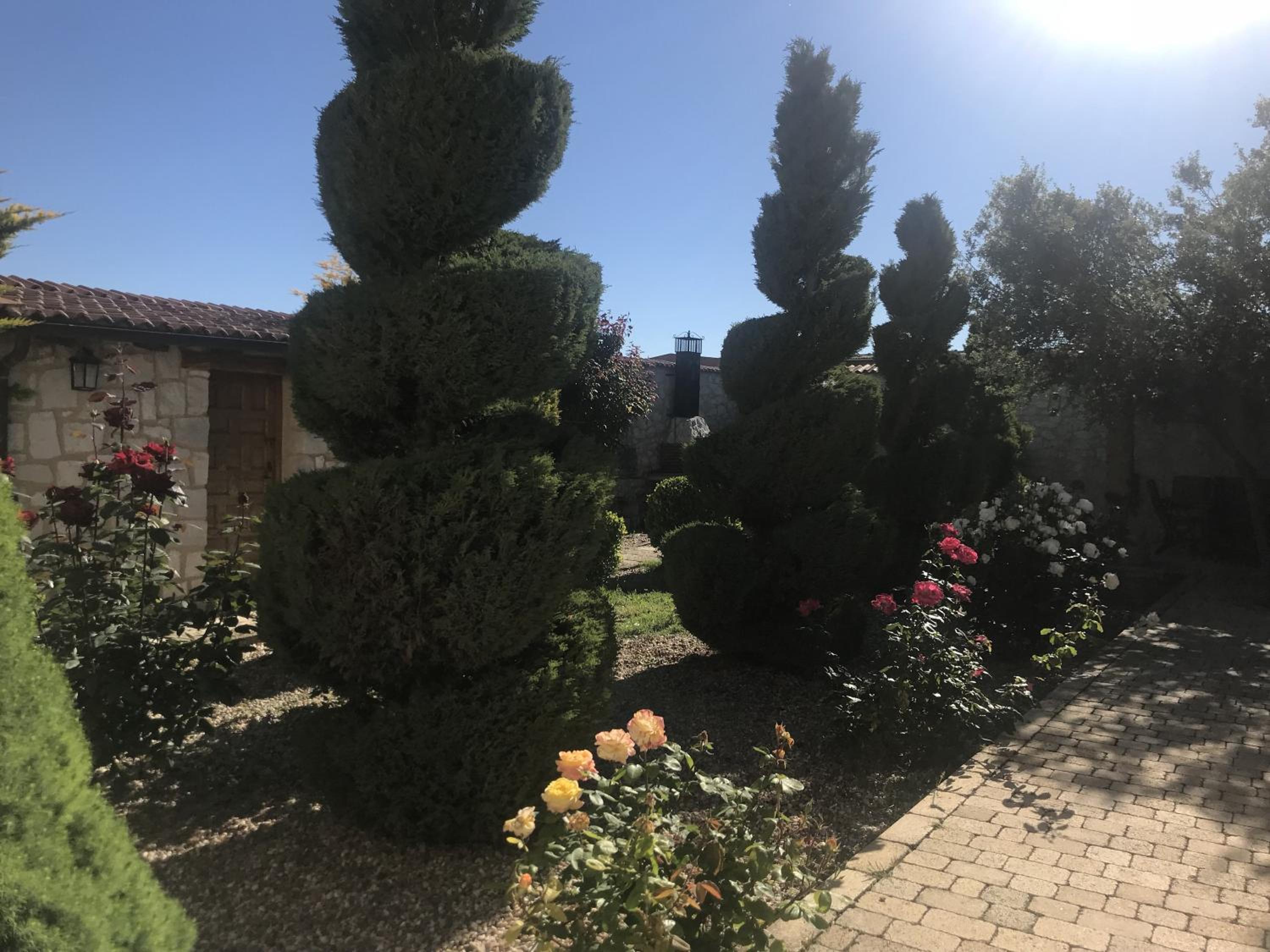 Las Espigas