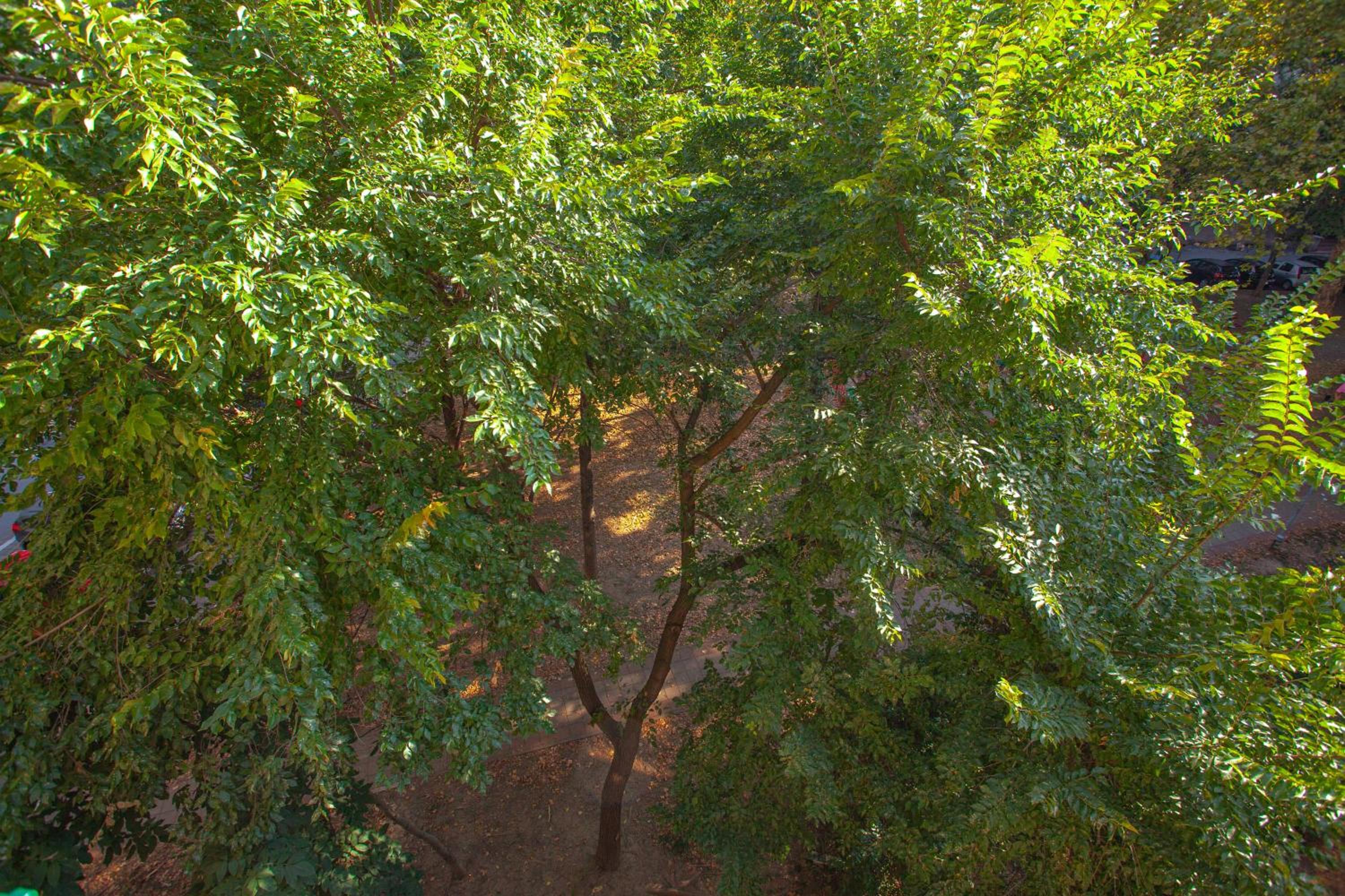 Apartment Lea view 4