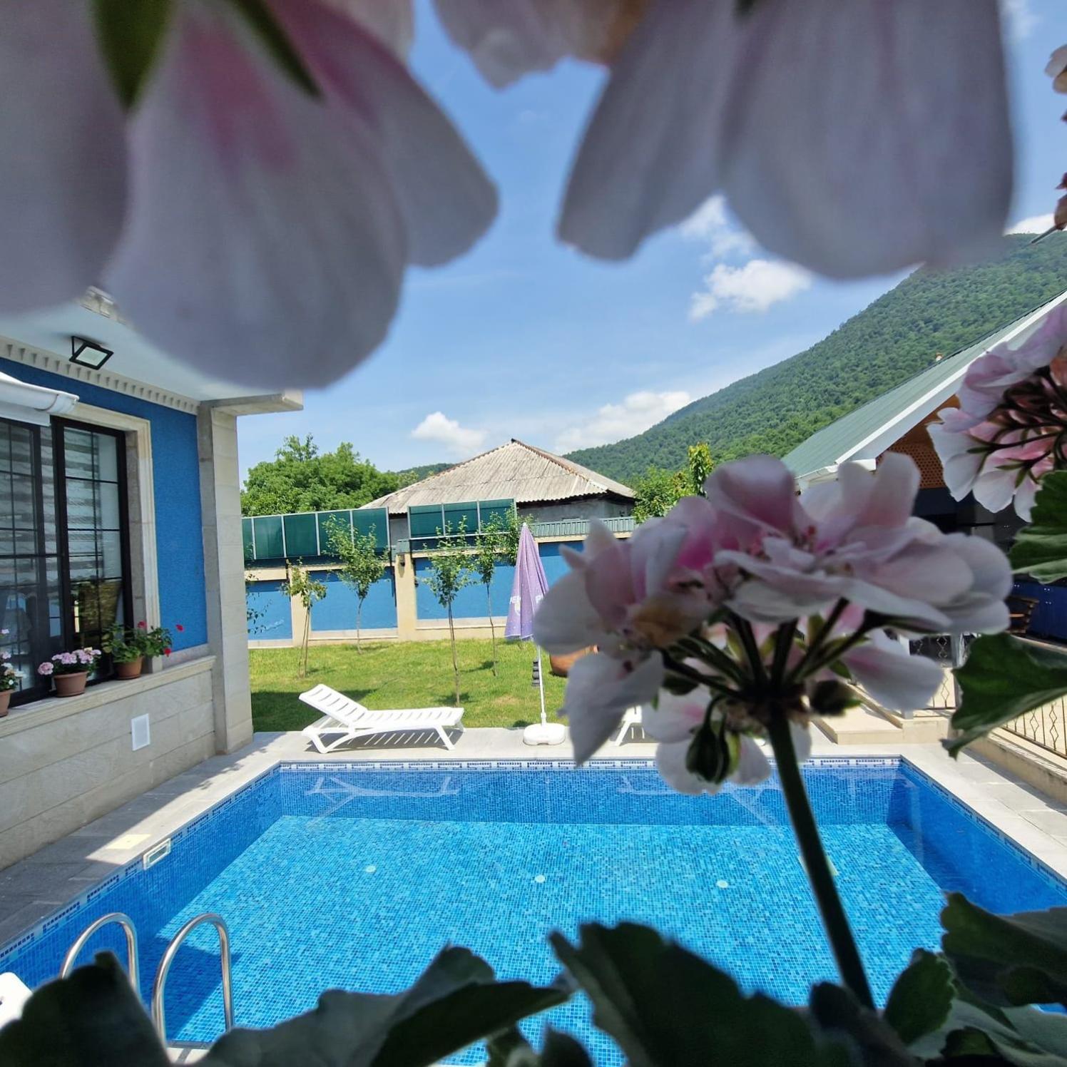 Gabala Garden villa
