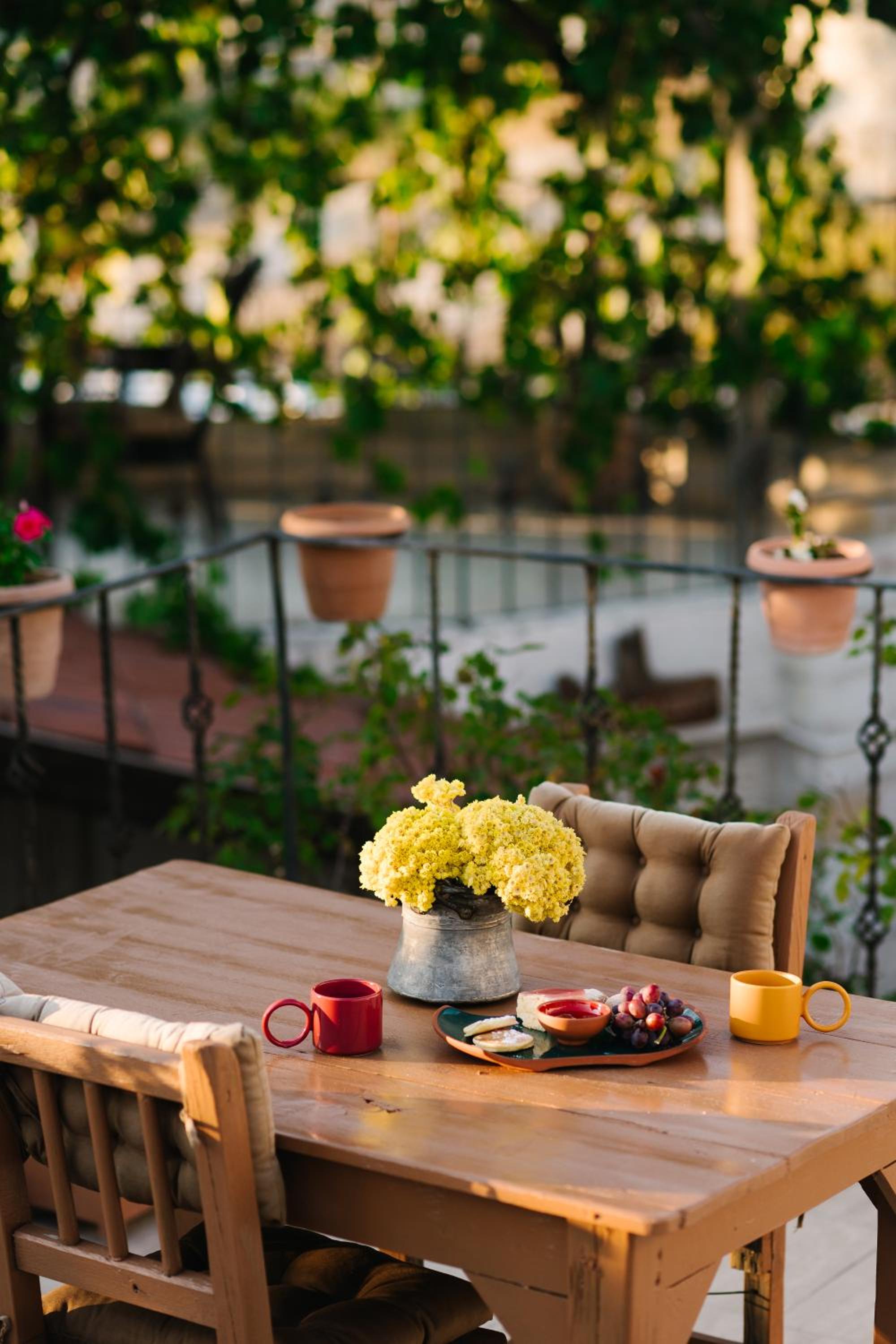 balance & terrace