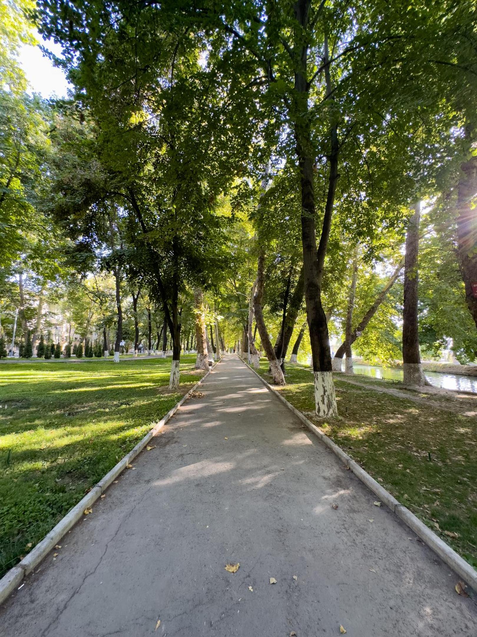 Green Oasis in City Center