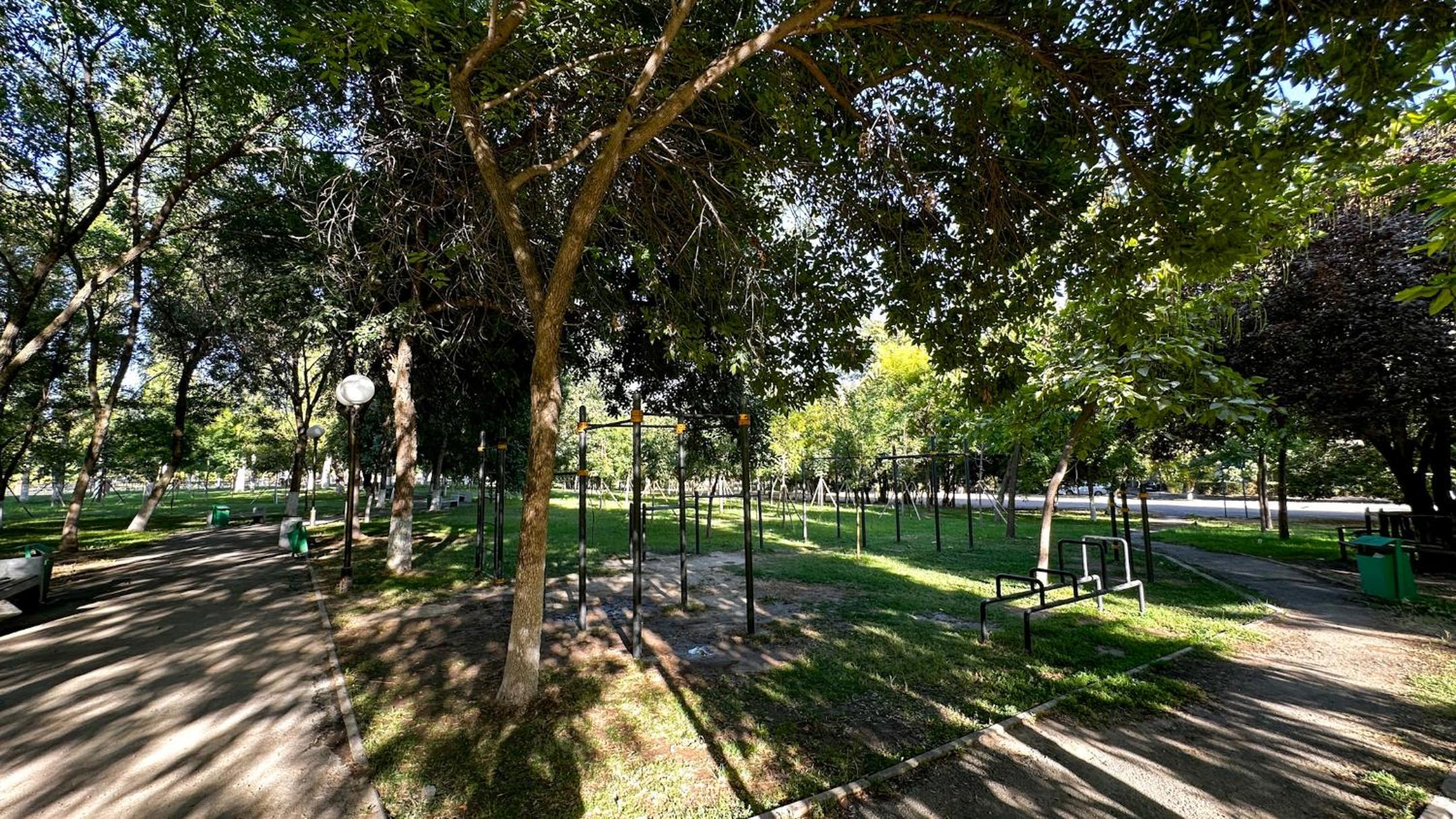 Green Oasis in City Center