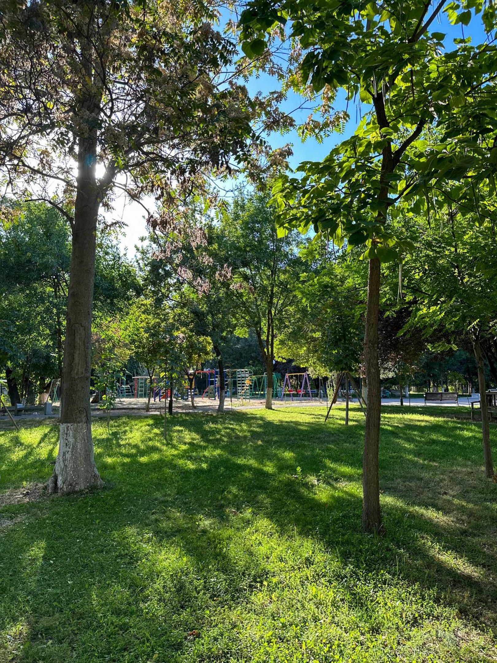 Green Oasis in City Center