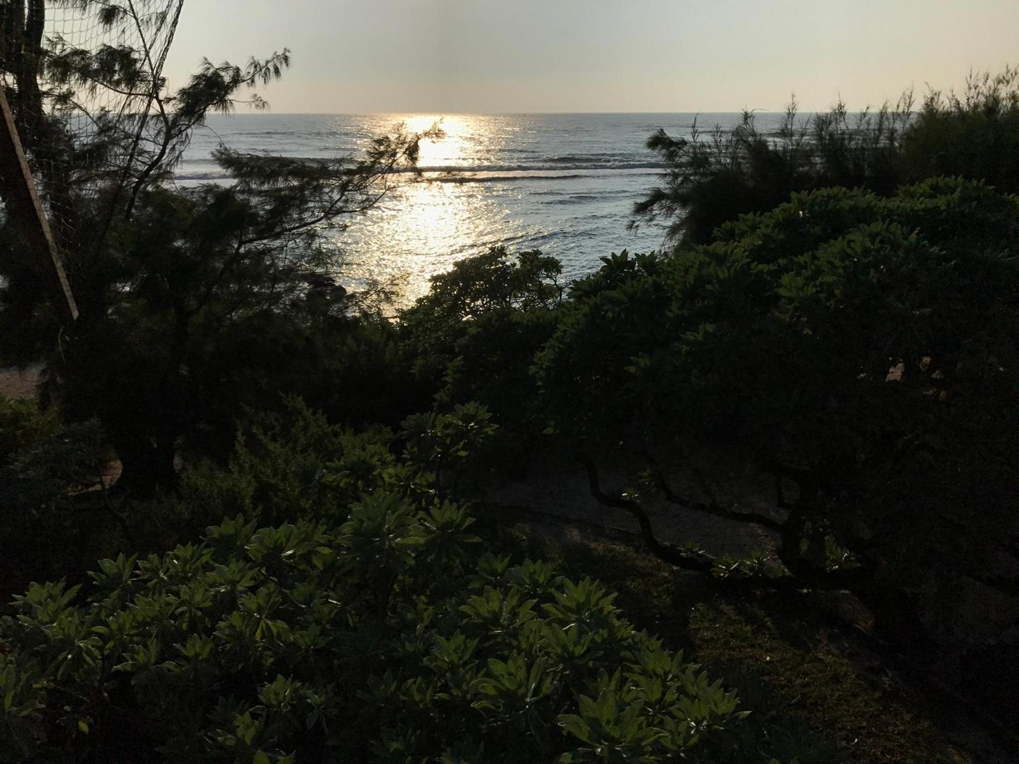 Face à L Ocean photo 5