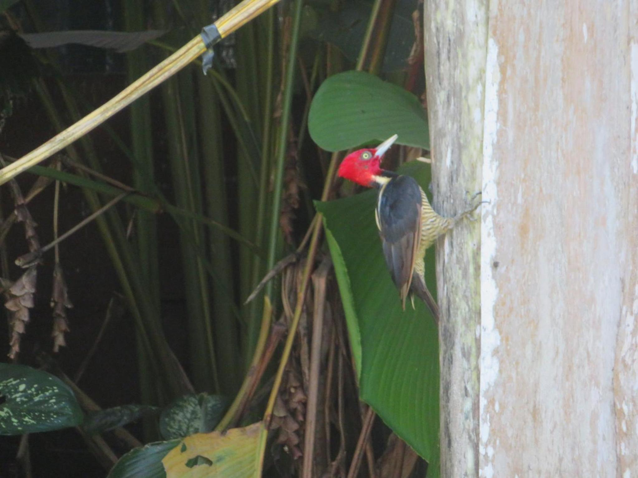 other