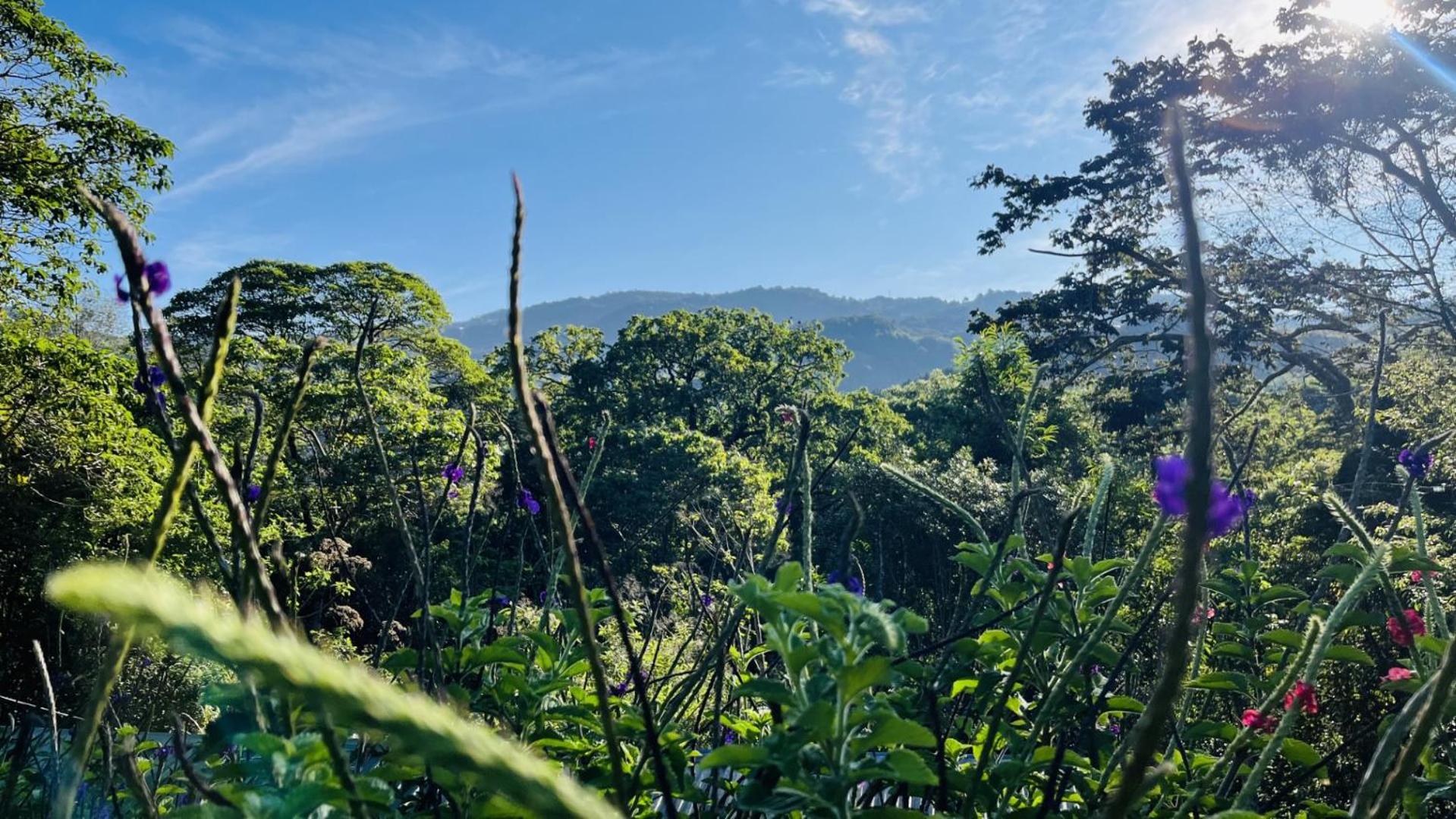 El Toucanet Lodge & Restaurante