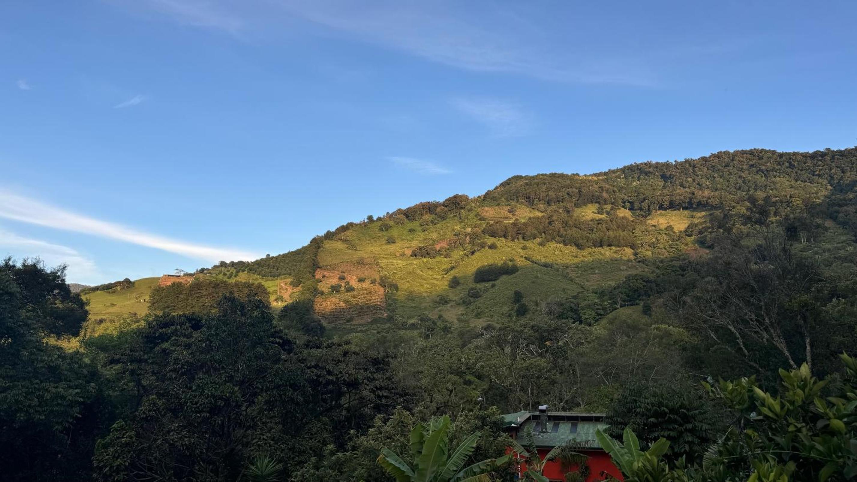 El Toucanet Lodge & Restaurante
