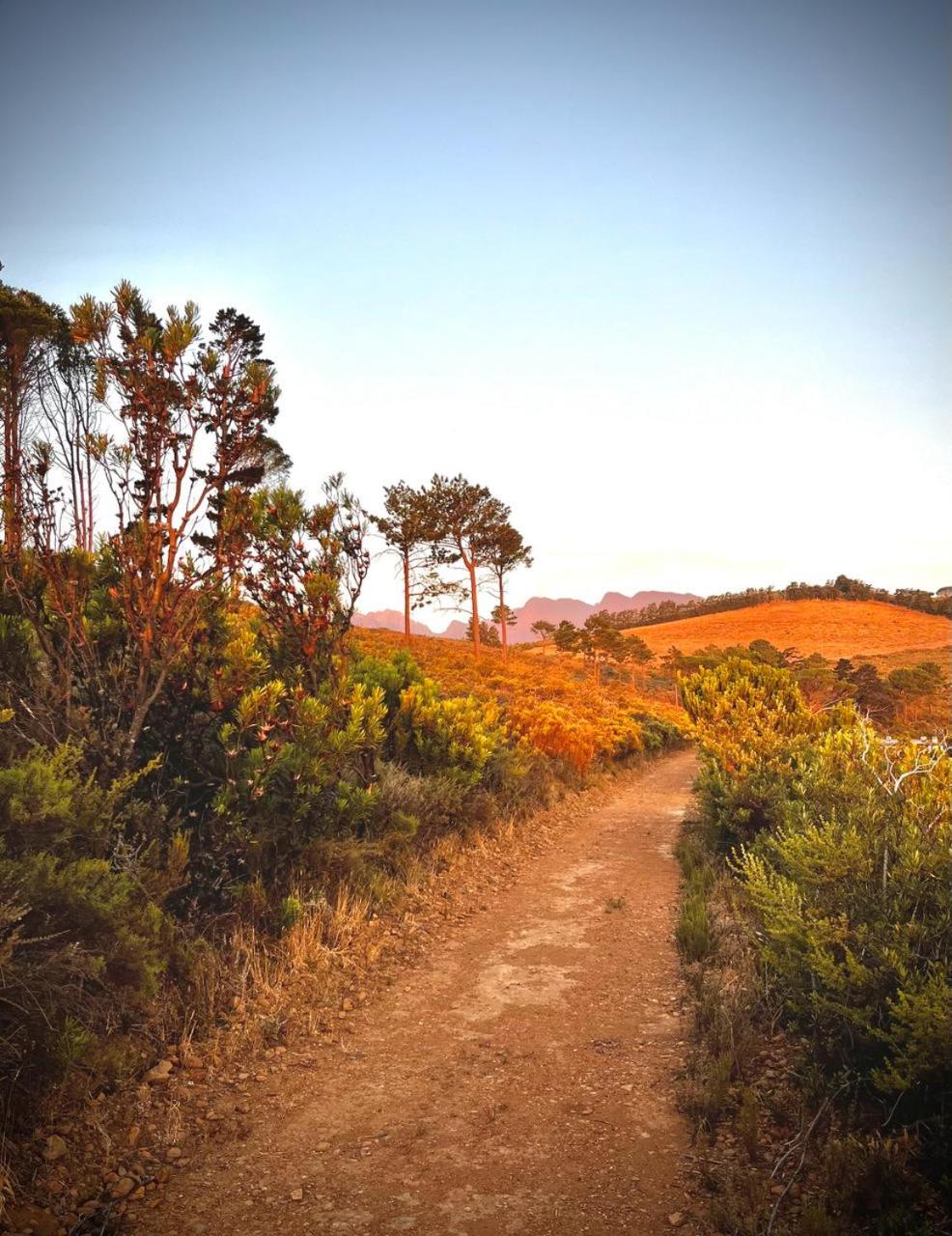 Vrede Selfcatering
