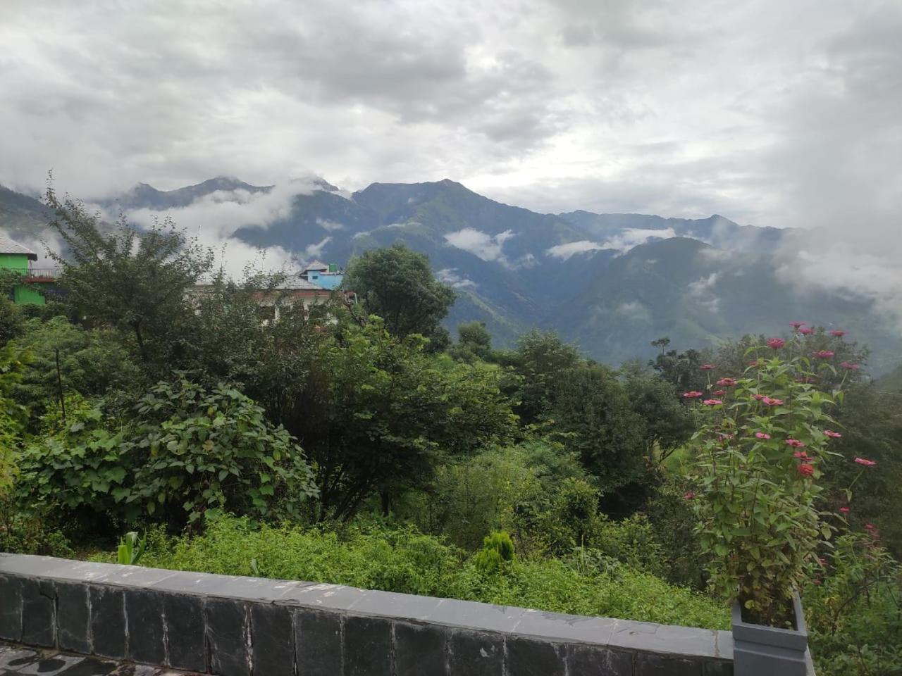 Jot view home stay view 4