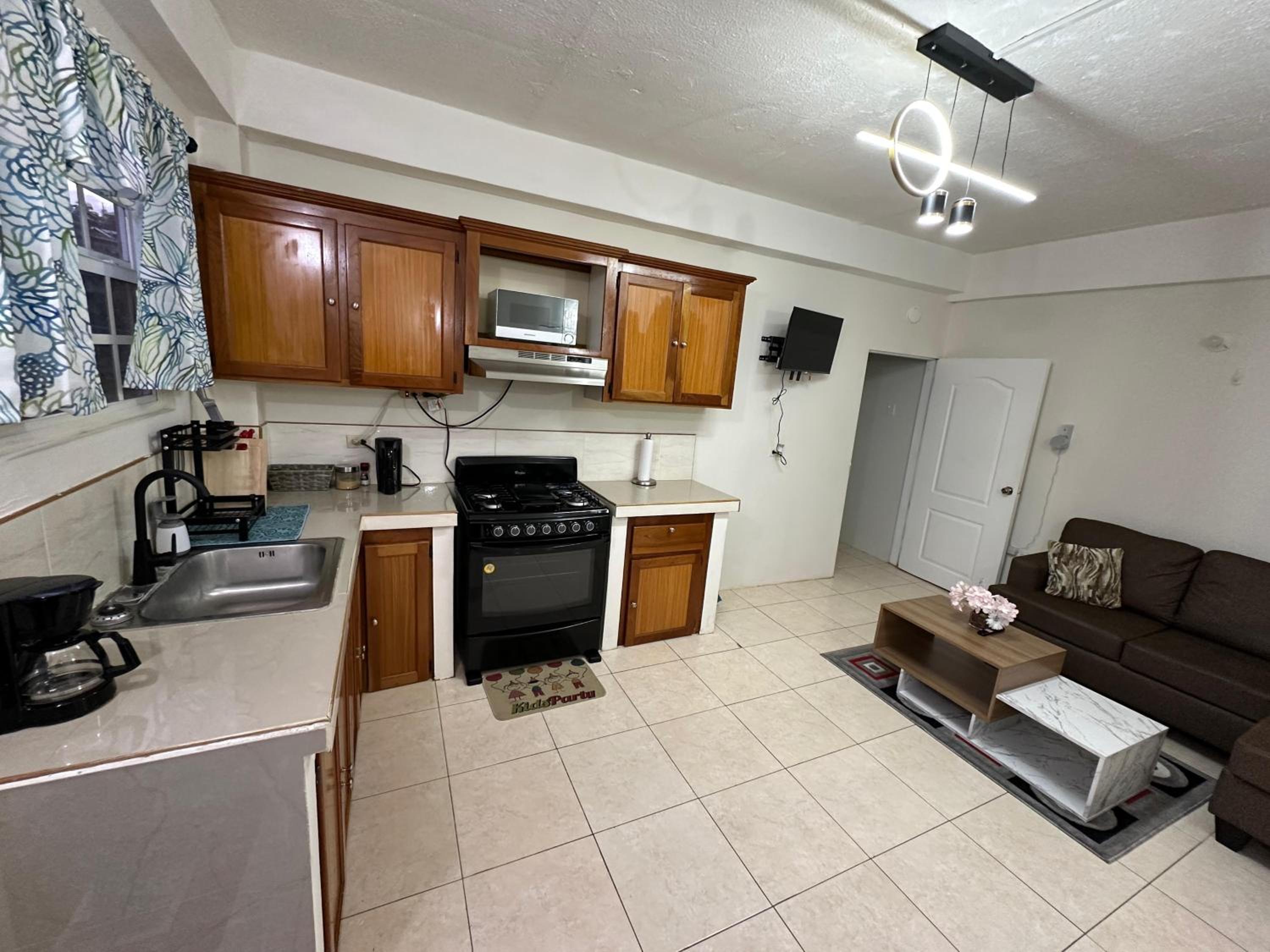 Cozy one Bedroom & Car rental Apartment Garden side
