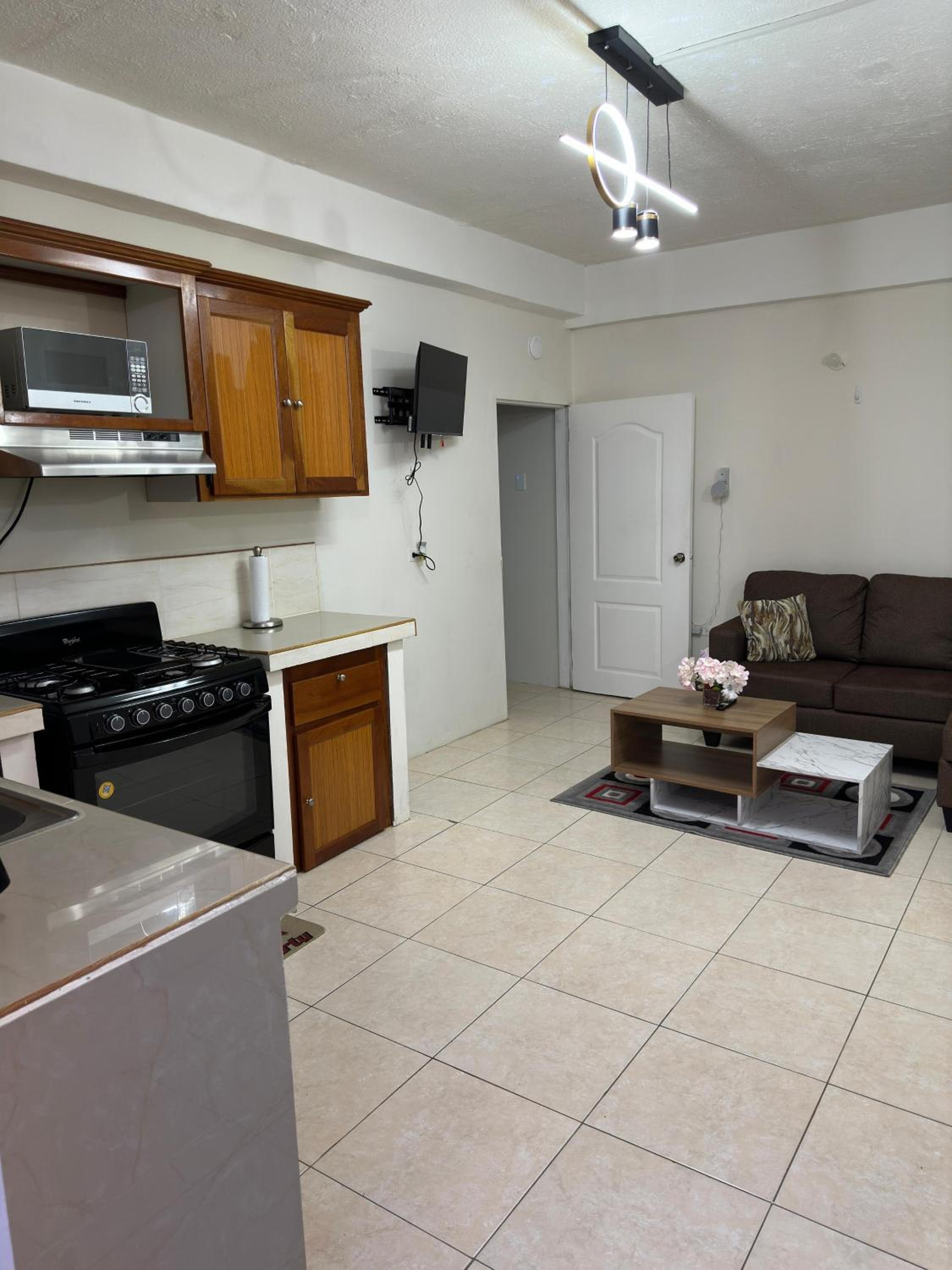 Cozy one Bedroom & Car rental Apartment Garden side