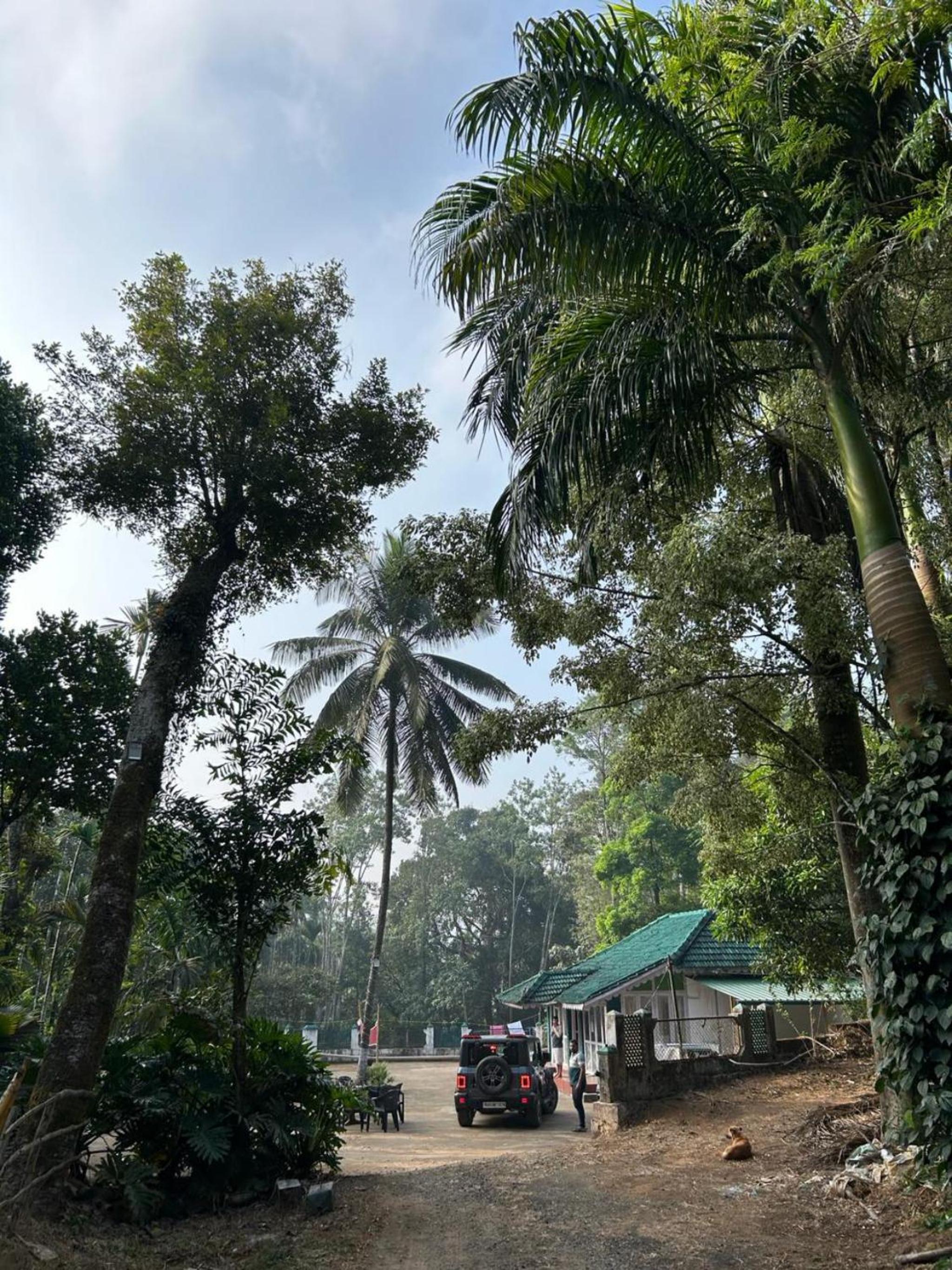 Sunsee coffee plantation estate HOMESTAY