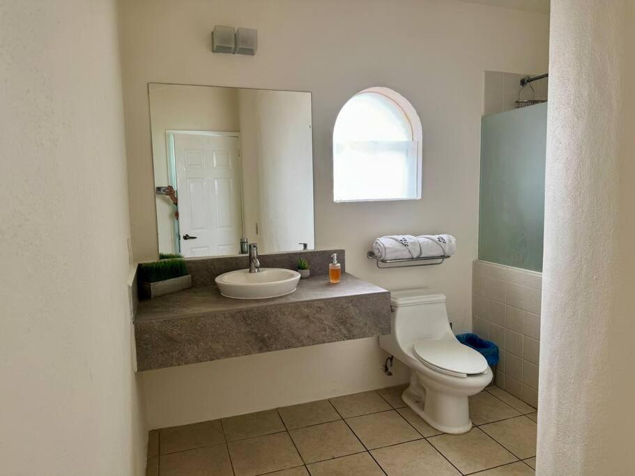 Photo 18