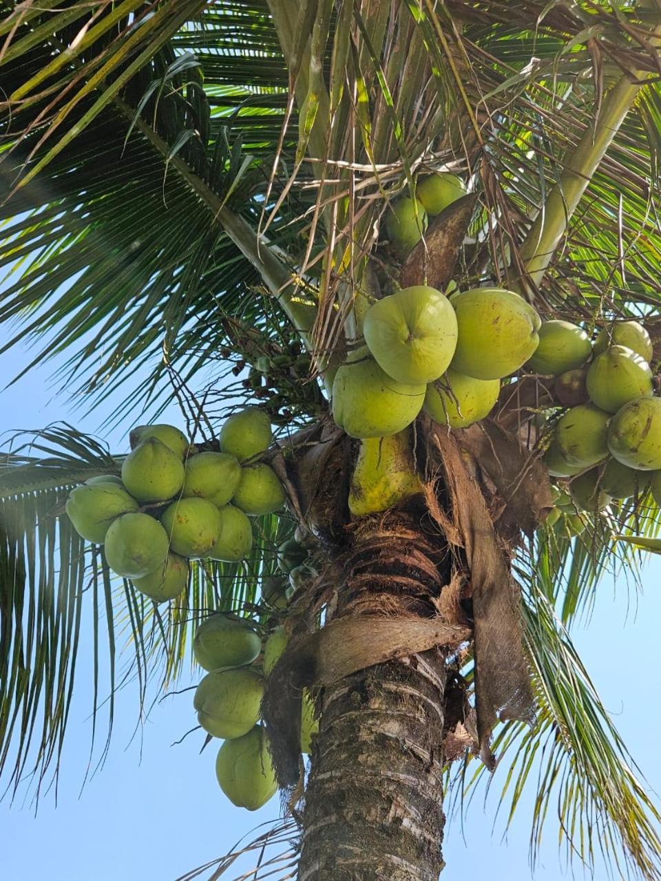 Casa com Quadra de Areia para 21 pessoas em Boracéia São Seba