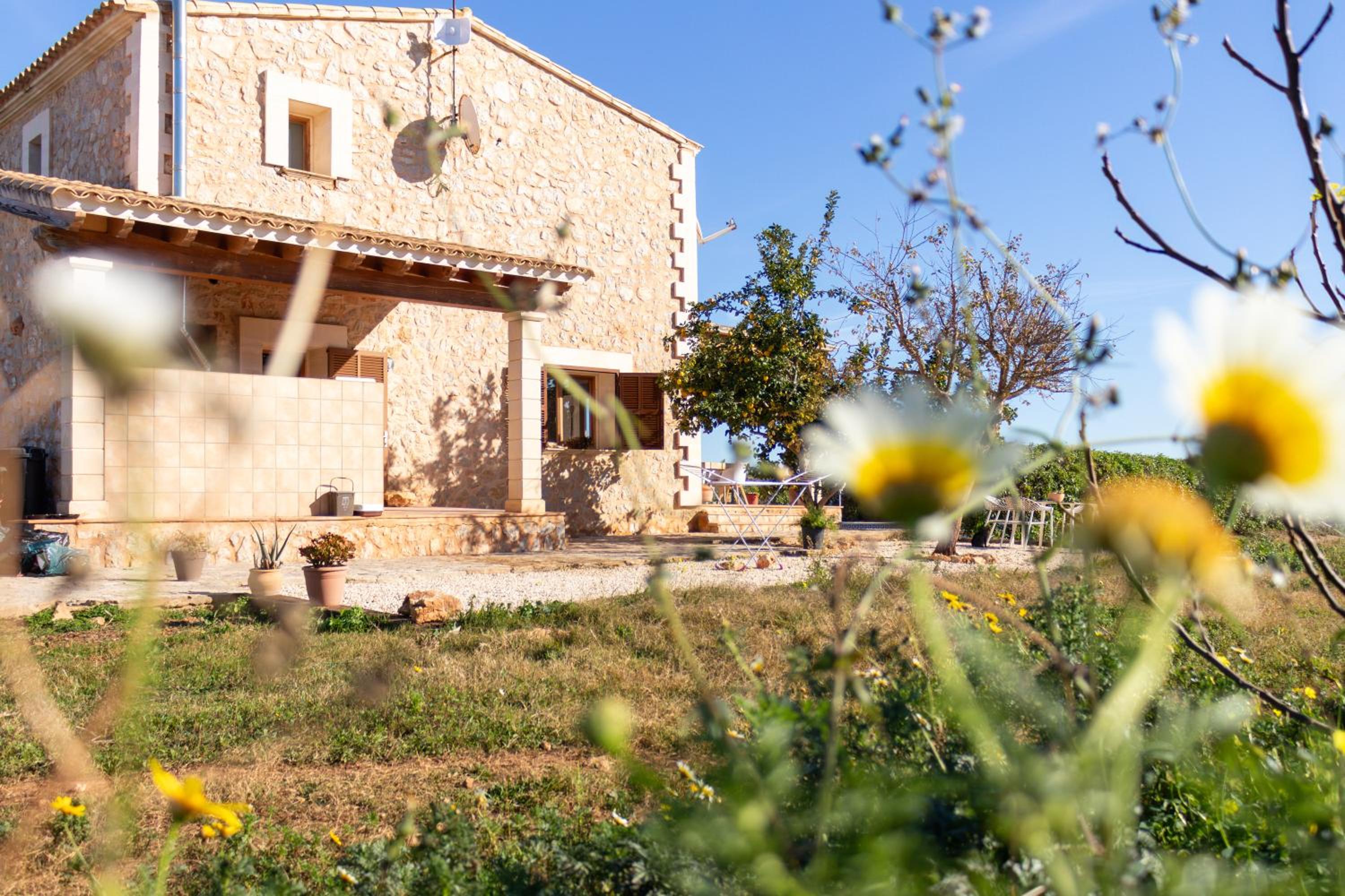 Idyllische Natur-Finca mit 12m Pool & Meerblick