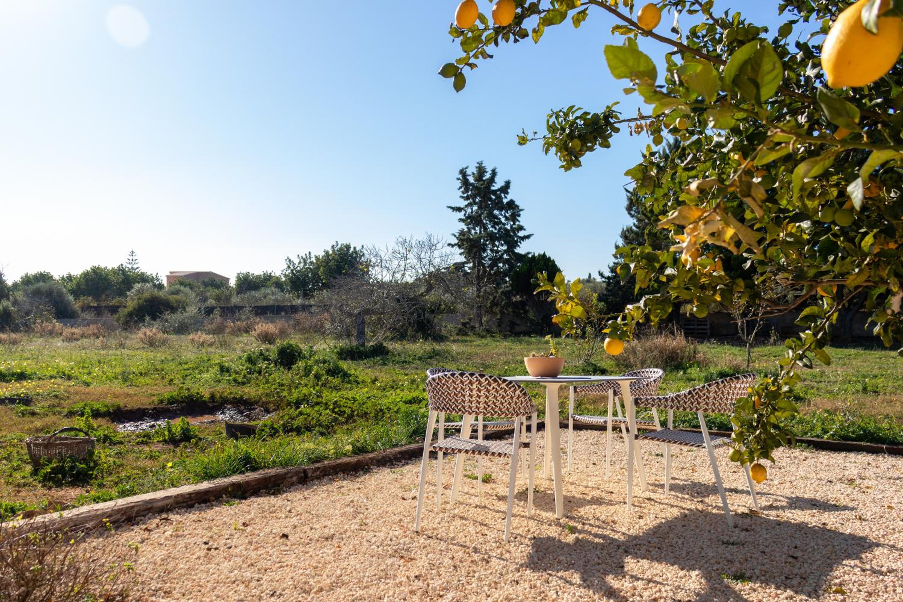 Idyllische Natur-Finca mit 12m Pool & Meerblick