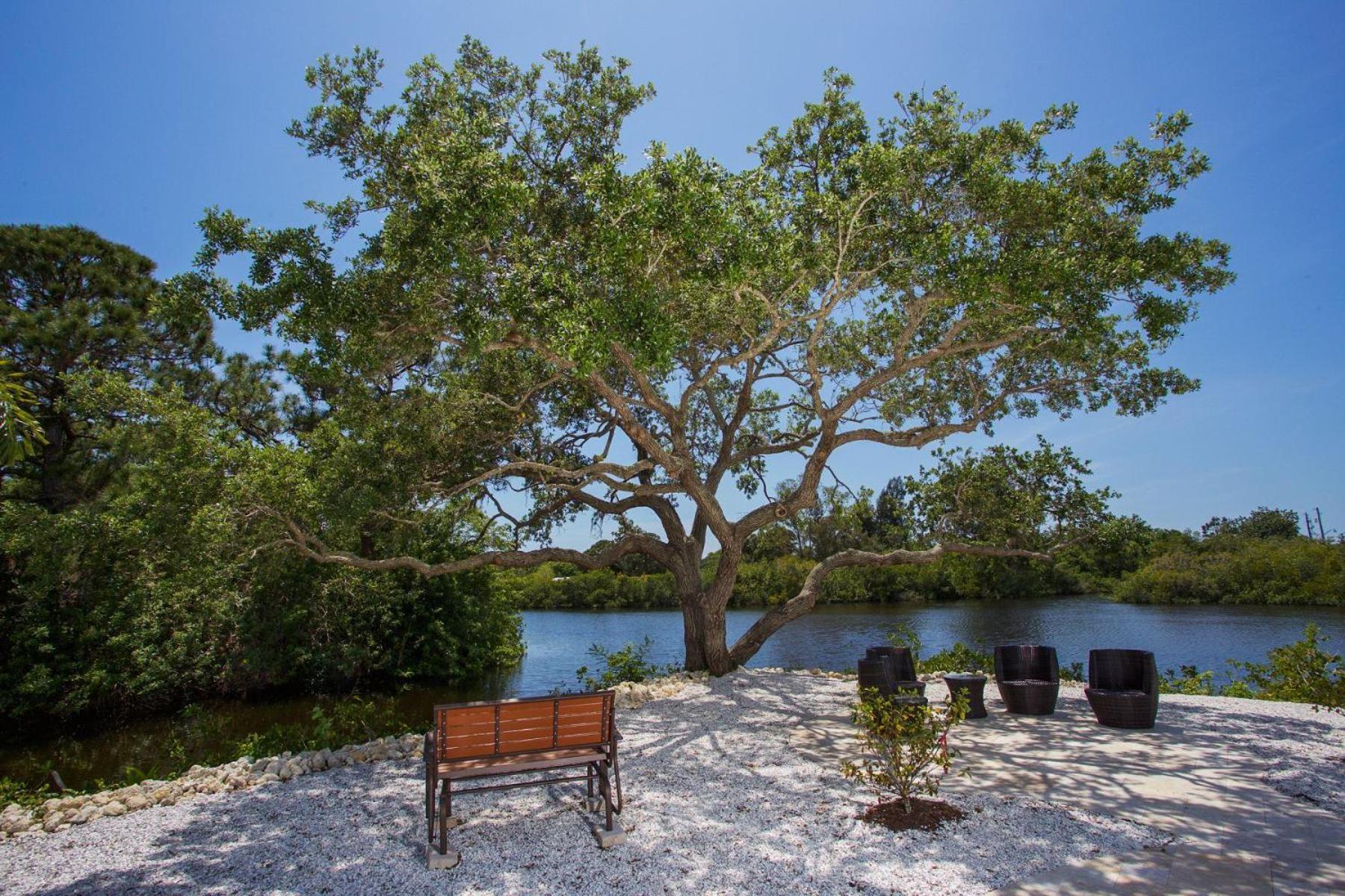 Tropical Waterfront Oasis - view 5
