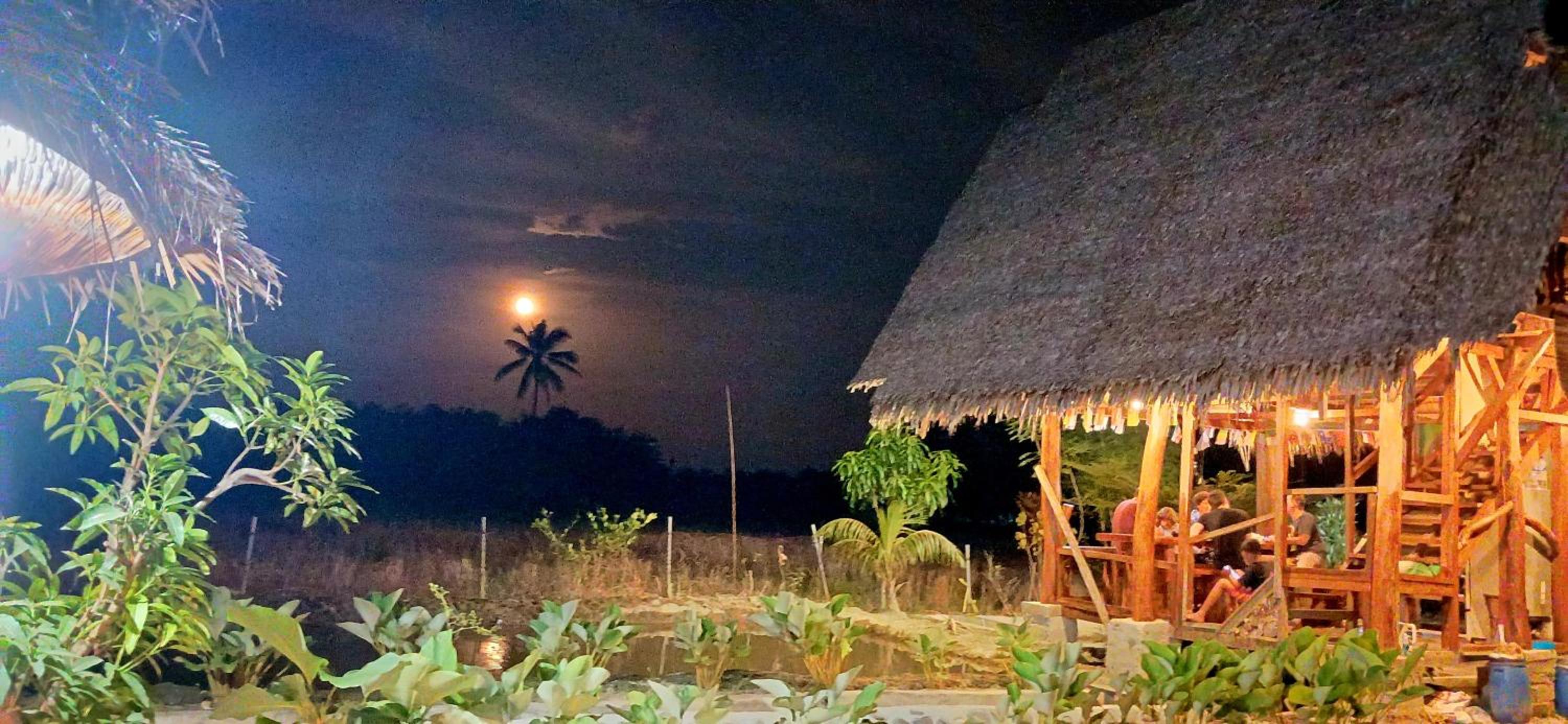 Tropical Jungle lodge & Jungle trekking