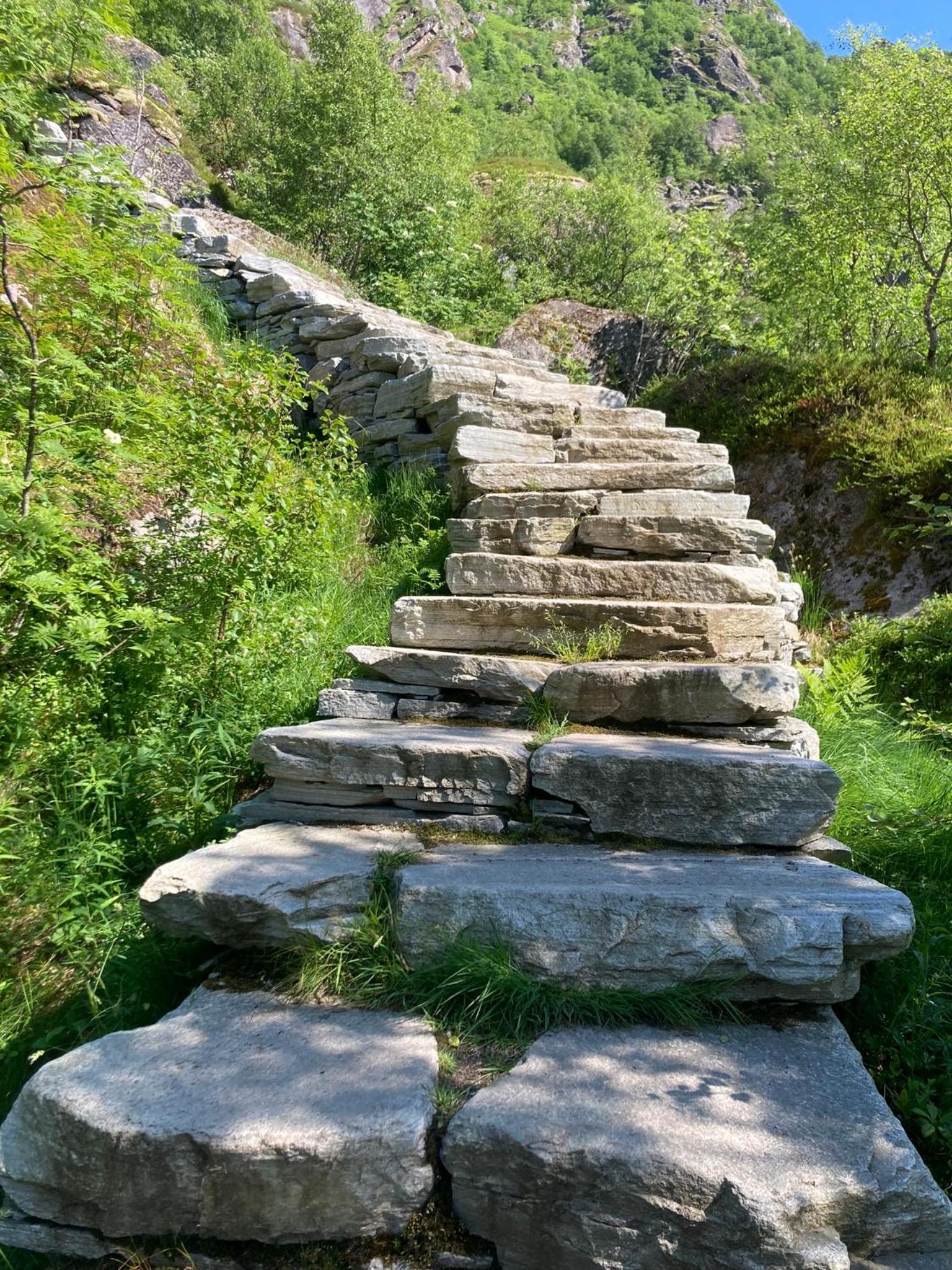 Photo 24