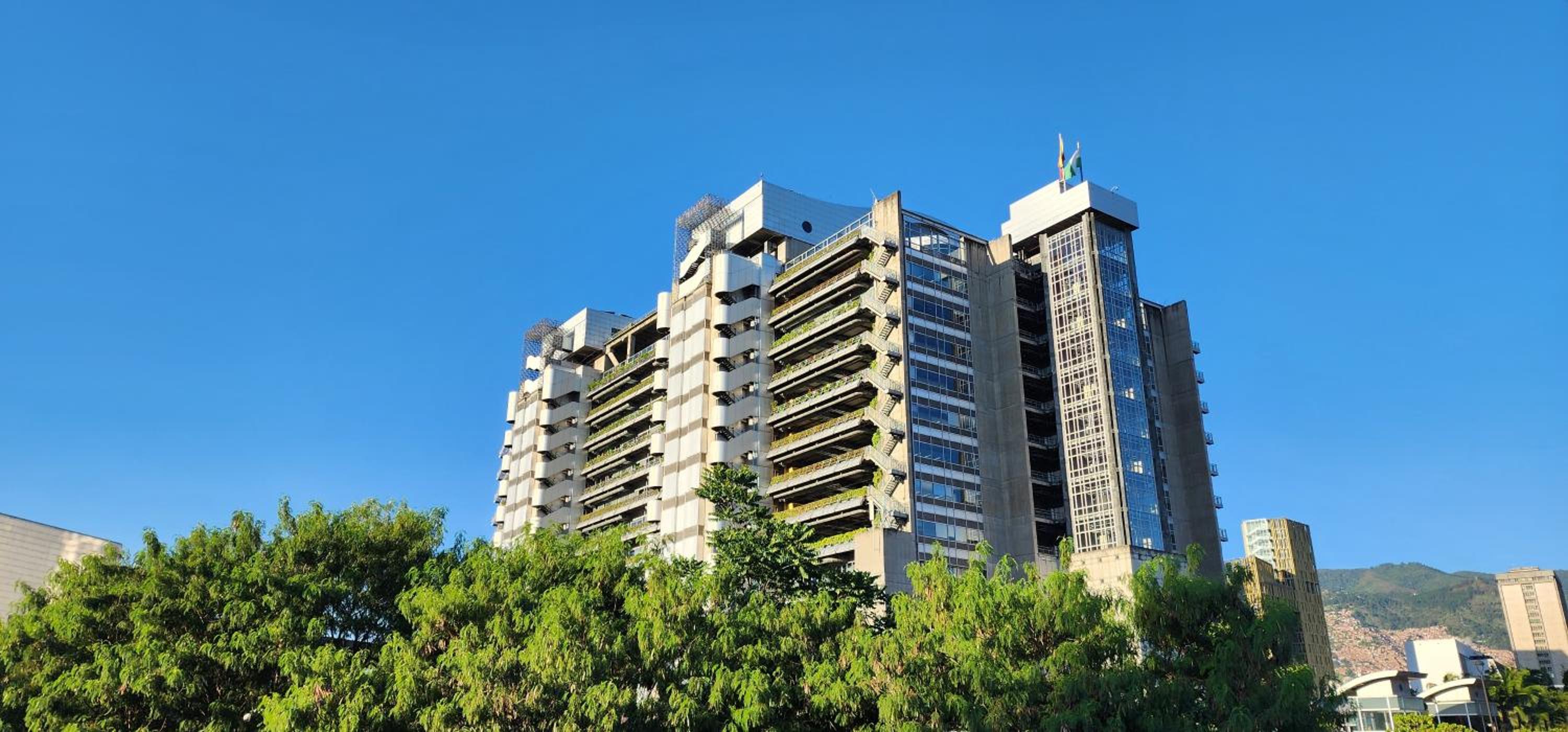 Casa de las palmas 3