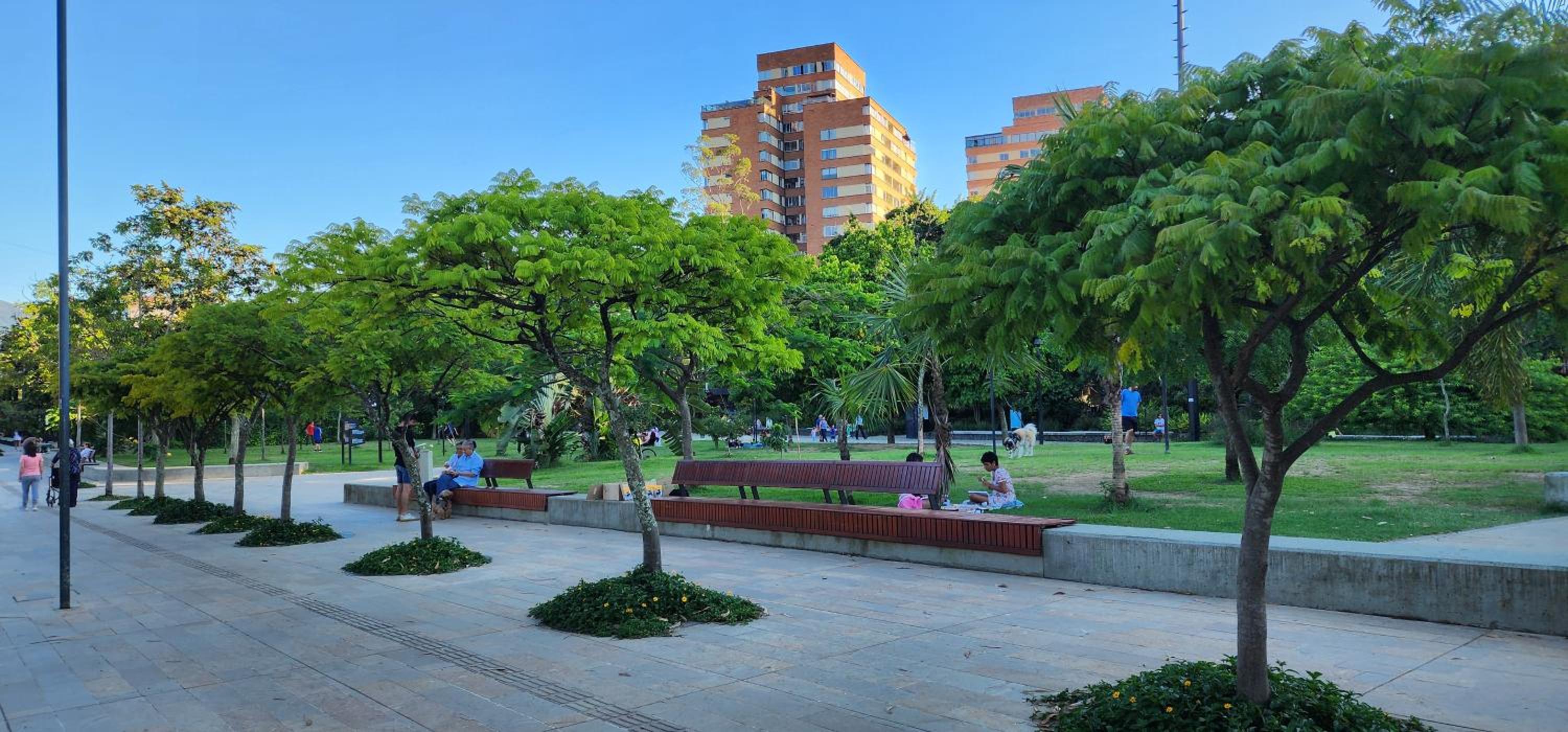 Casa de las palmas 3