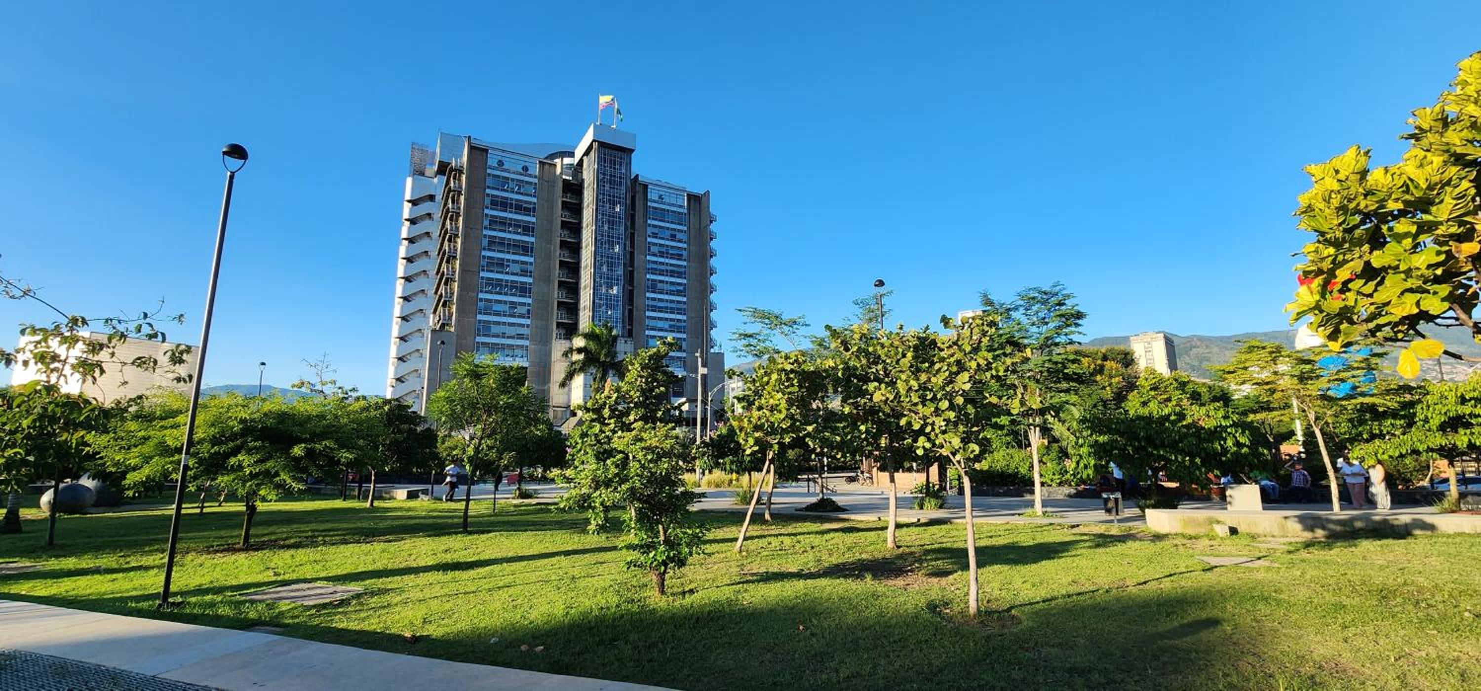 Casa de las palmas 3