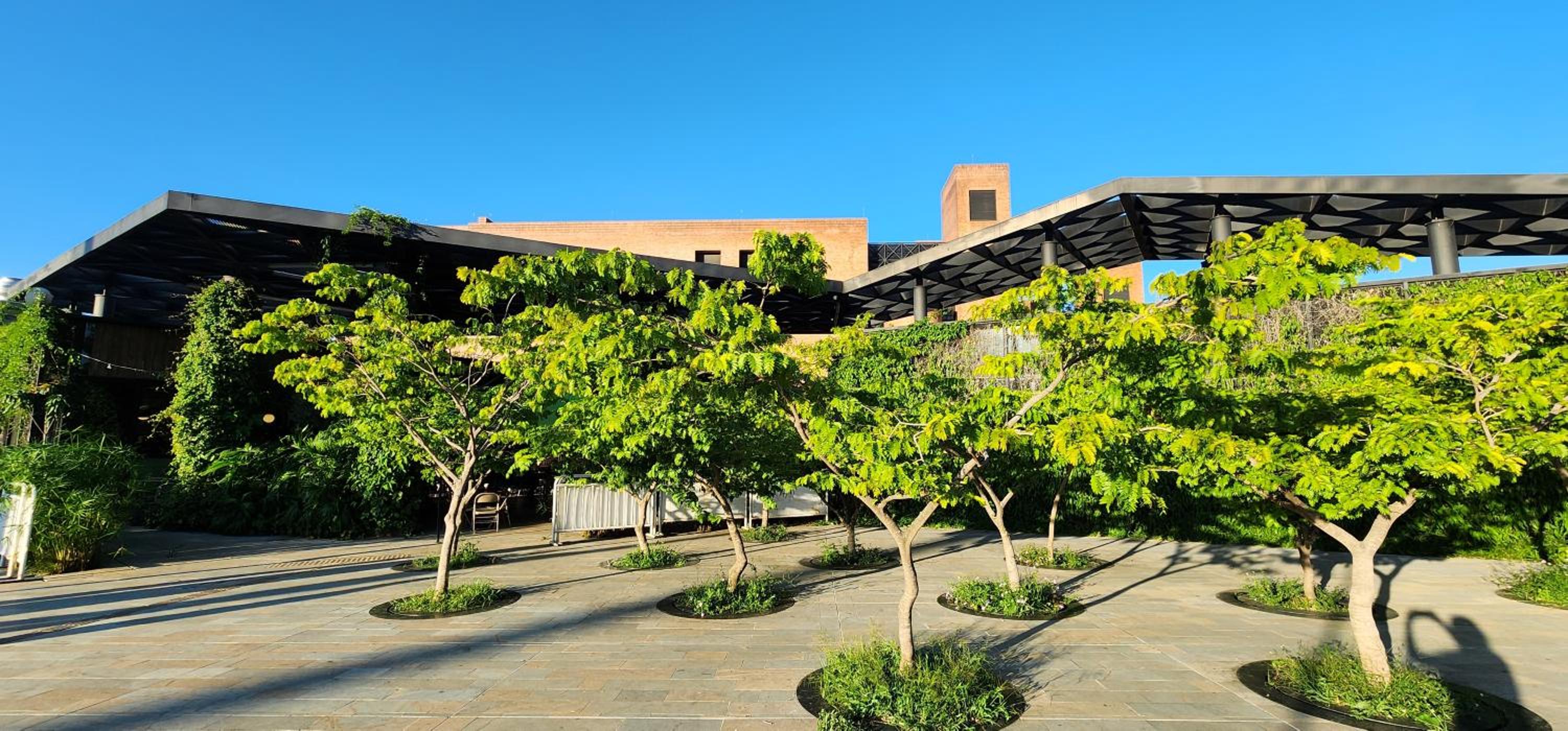 Casa de las palmas 3