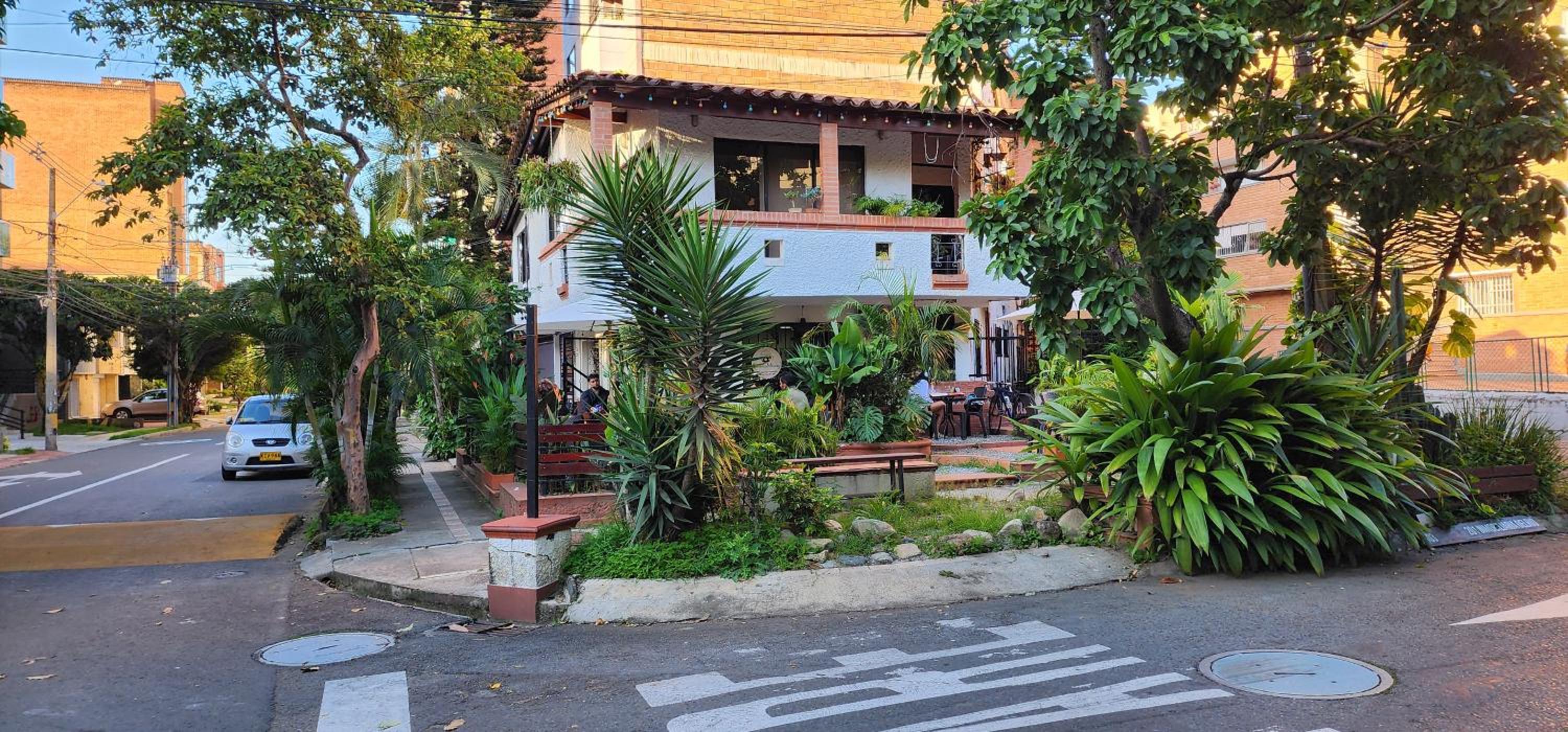 Casa de las palmas 3