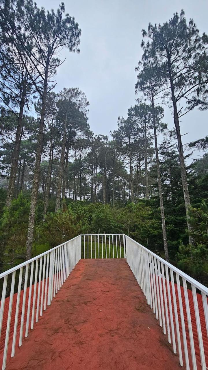 Lacasadelbosquesv