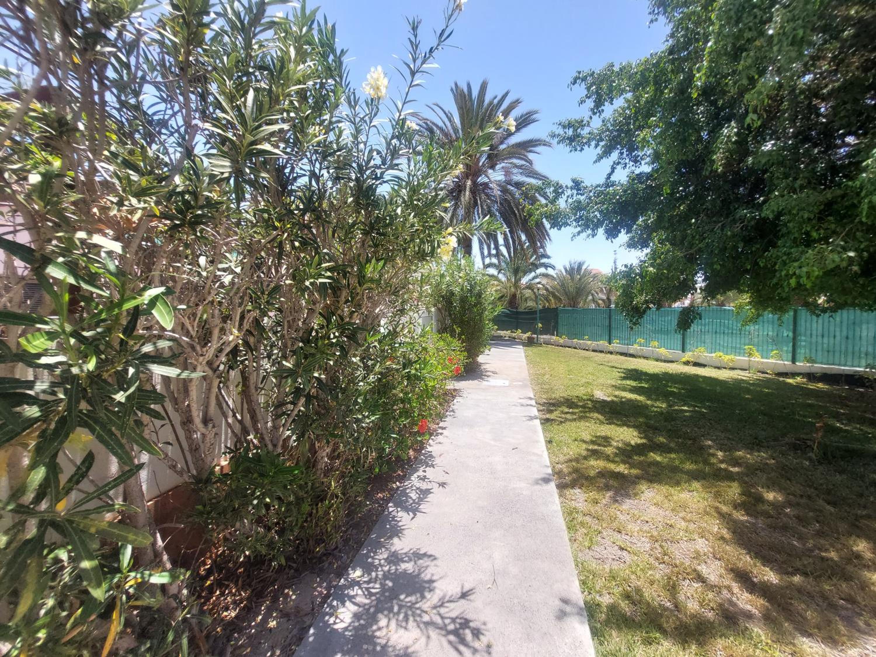 Sunnygolf Oasis