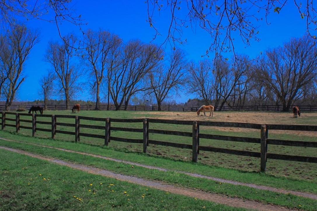 Doran Farm House