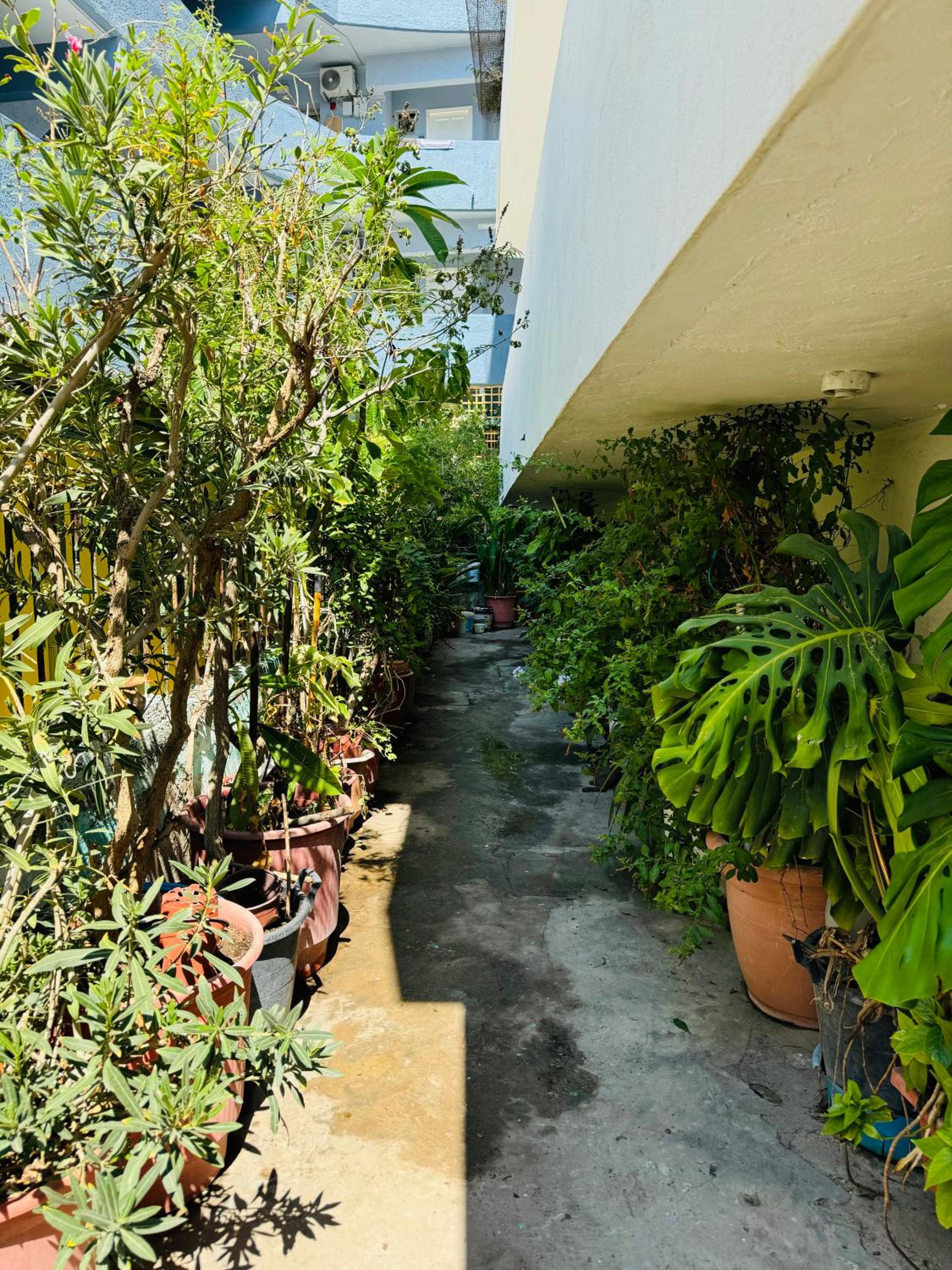 Aelios City House view 4