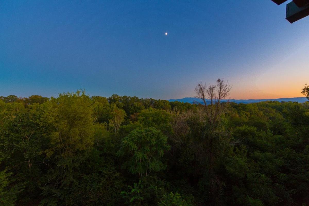 Elk Lodge view 2