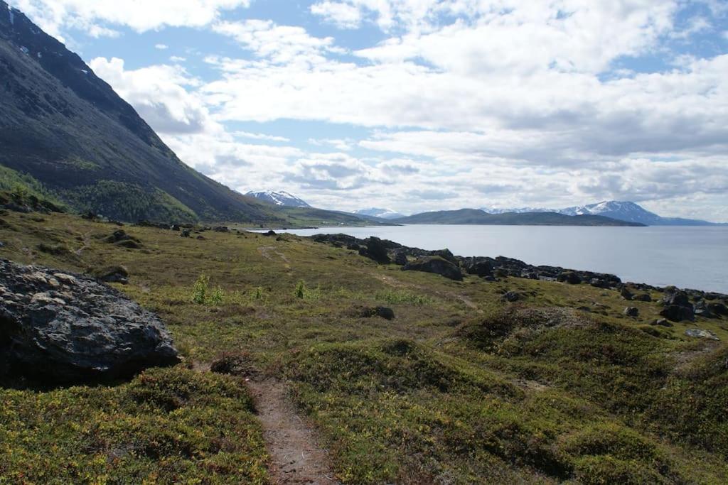 Amazing cabin in spectacular Lyngen view 4