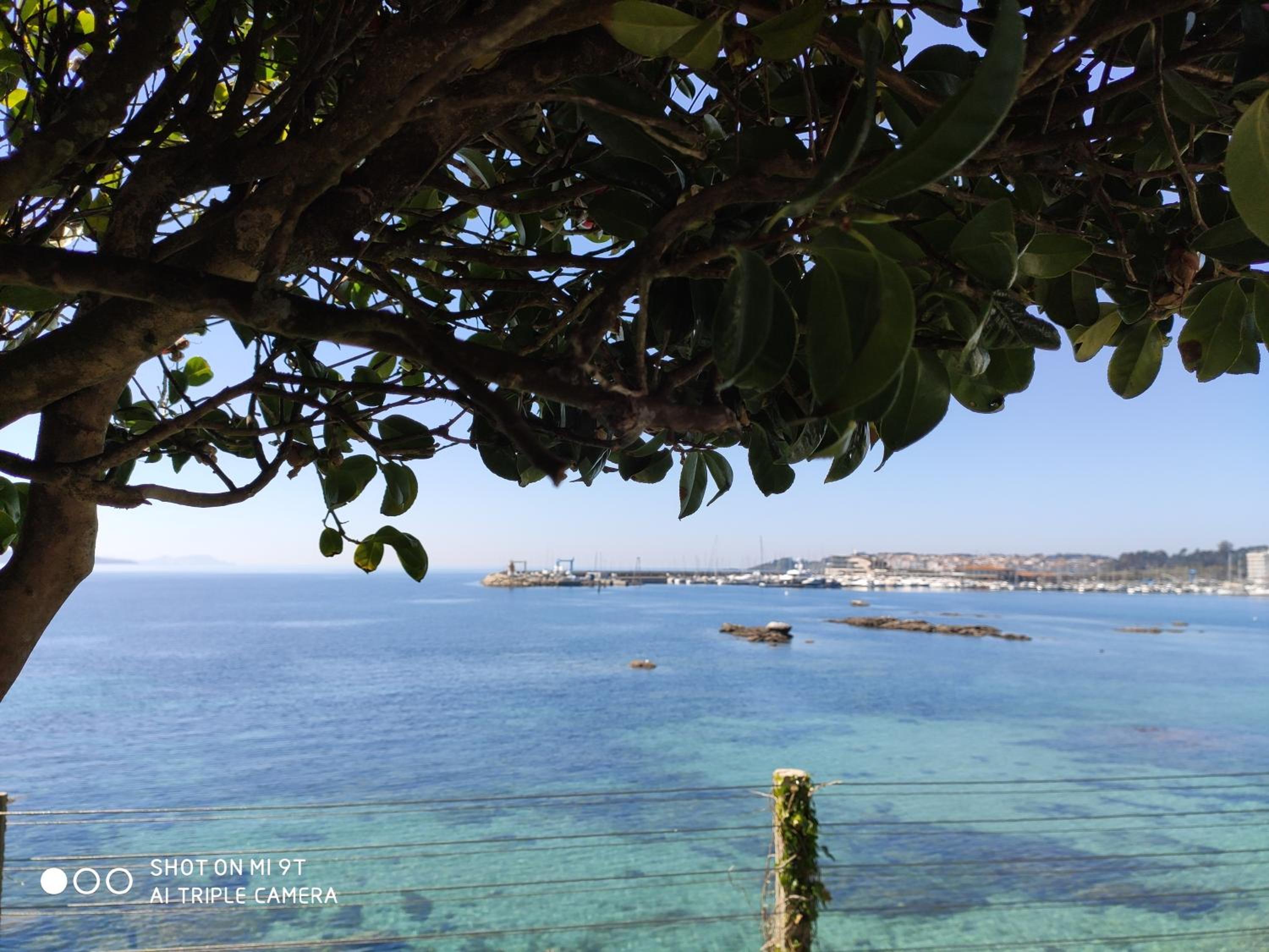 other