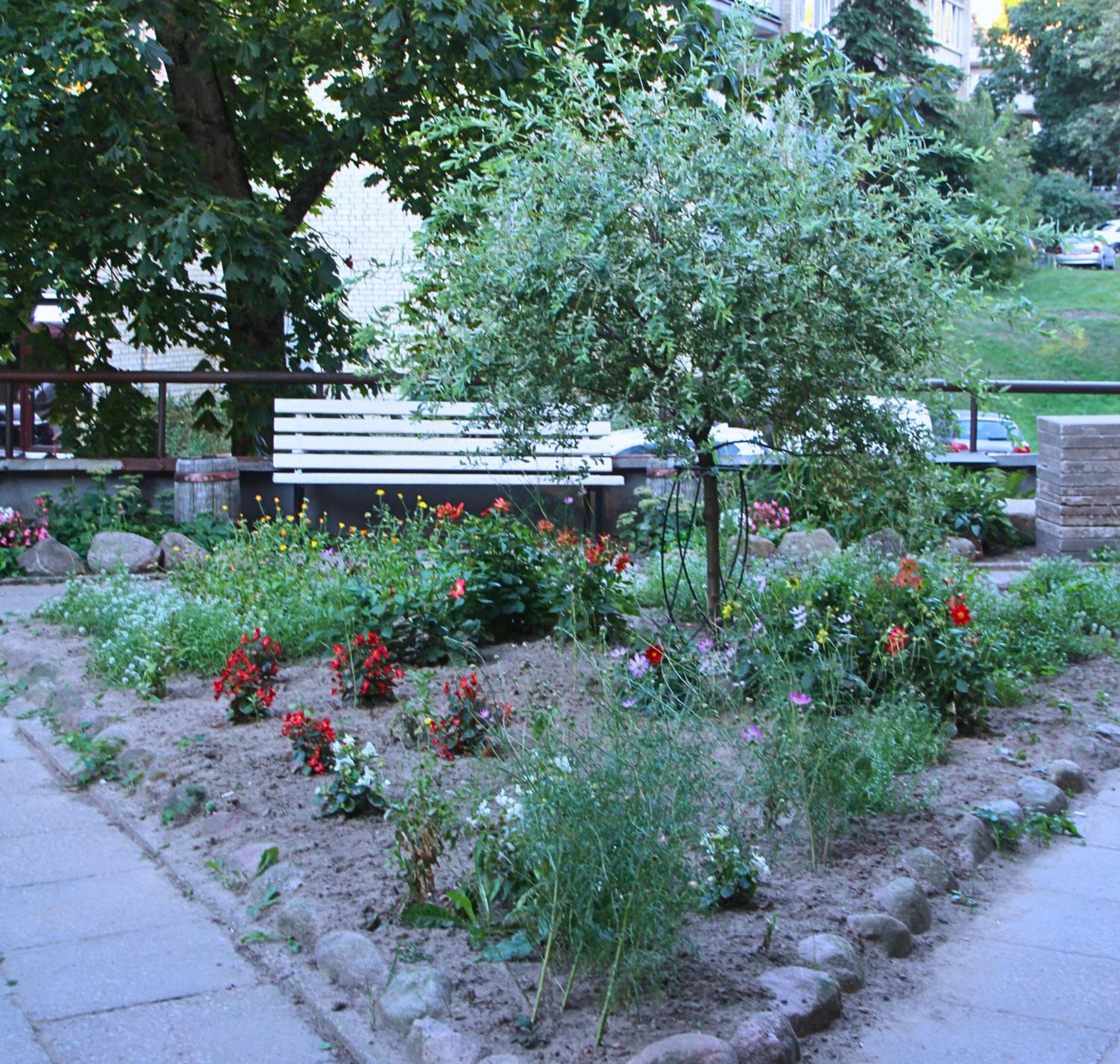 Photo 13
