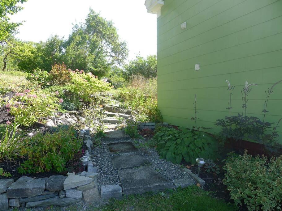 Photo 23