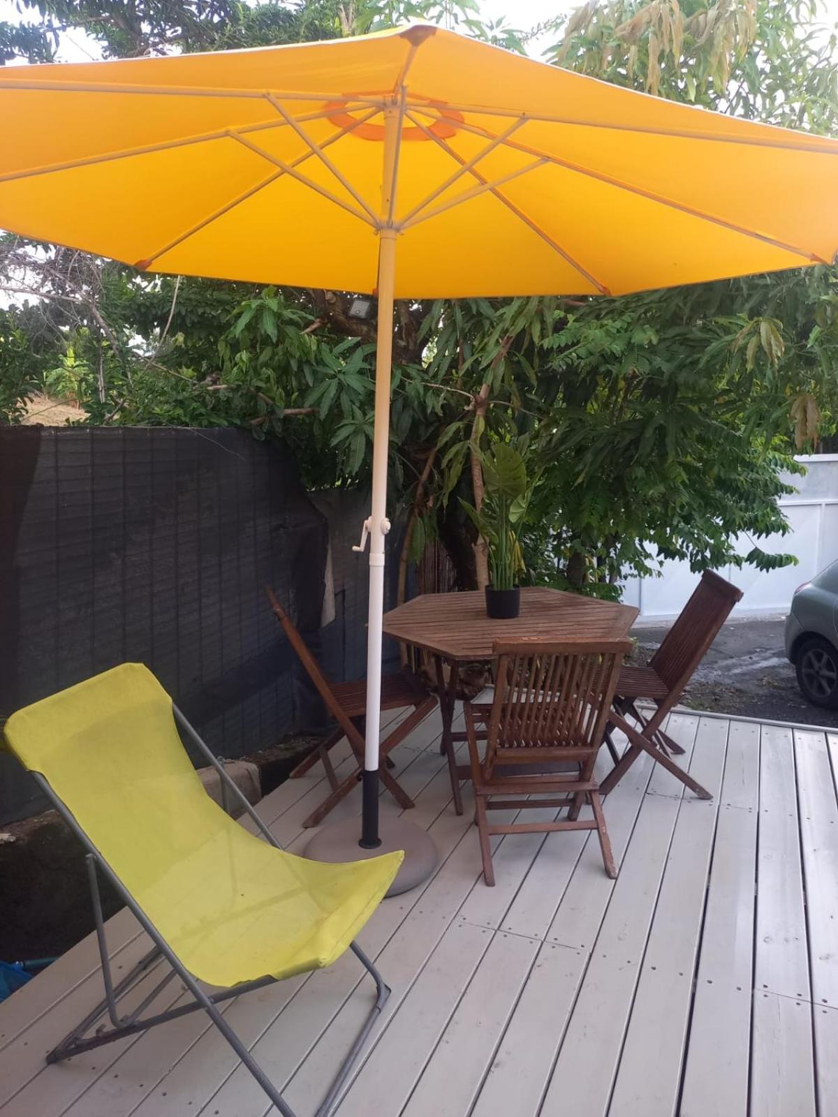 Hibiscus Paradise