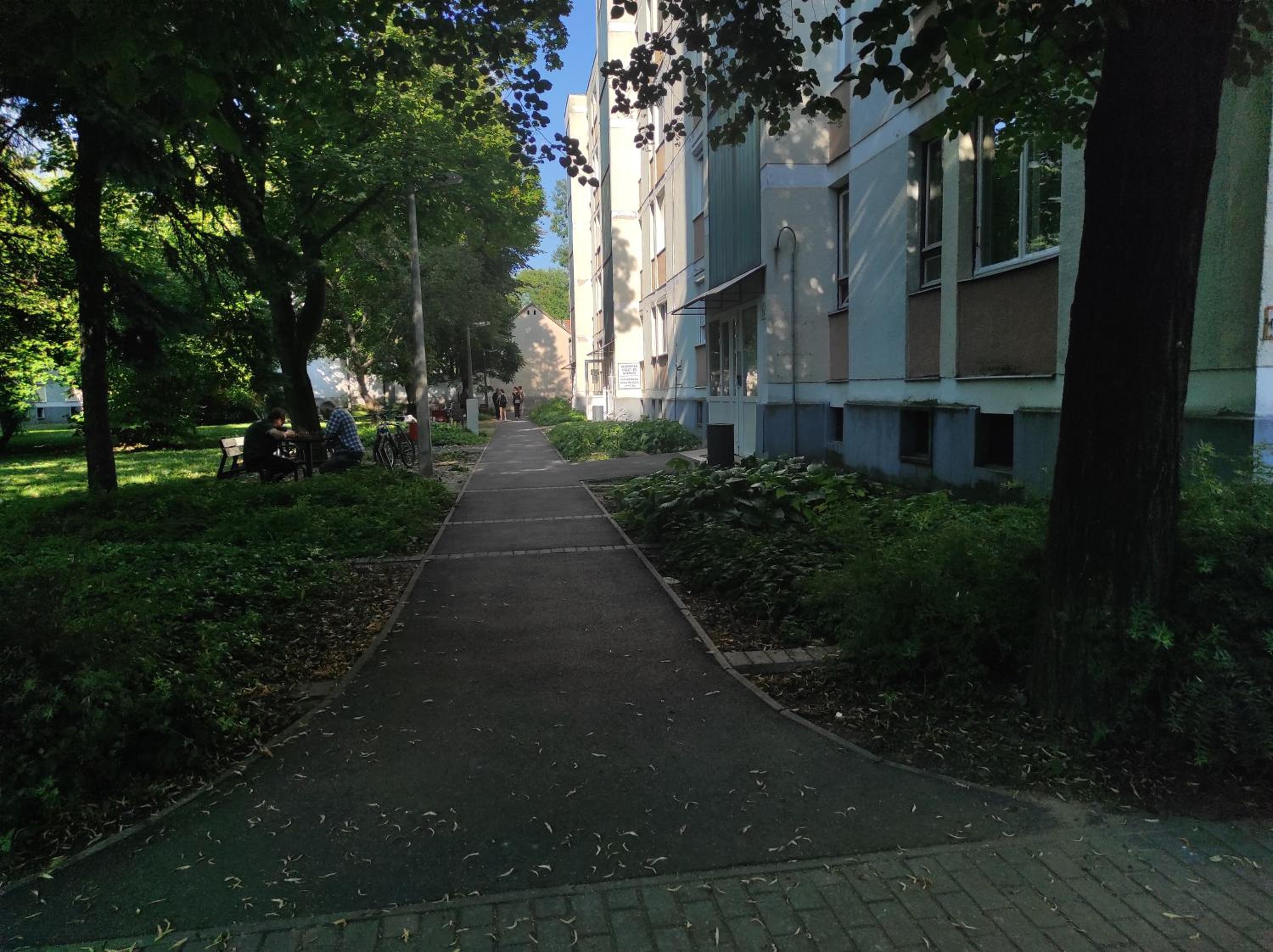 Corvinus Debrecen