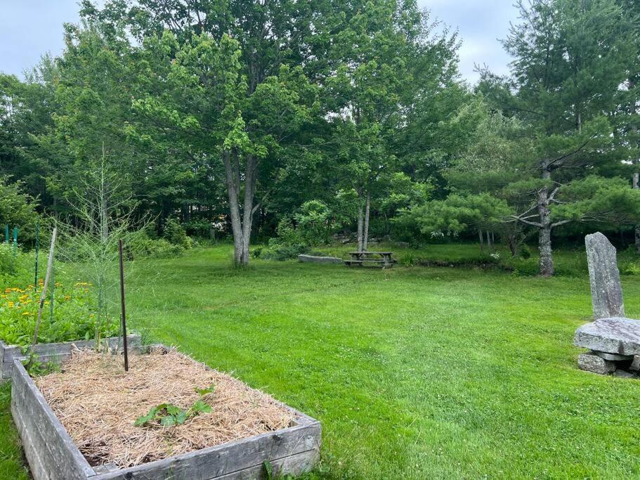 Falls Farmstead 1865 Ellis House Cozy and Comfy Apt #1 view 3