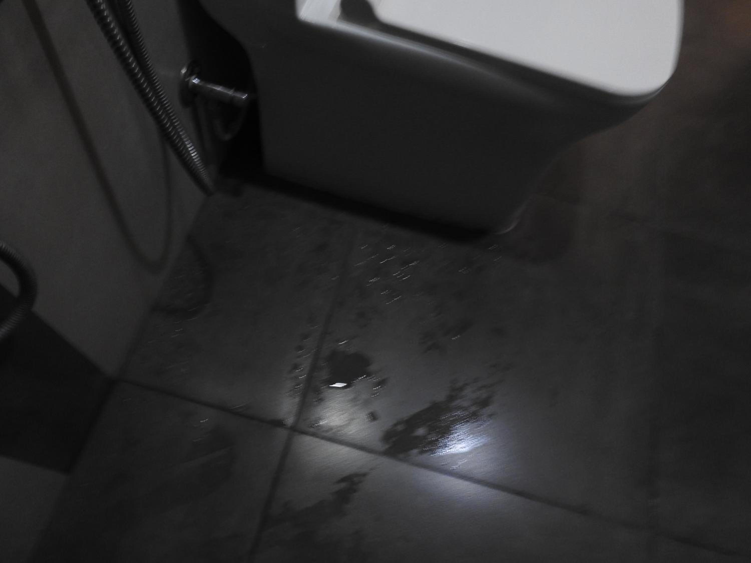 Photo 39