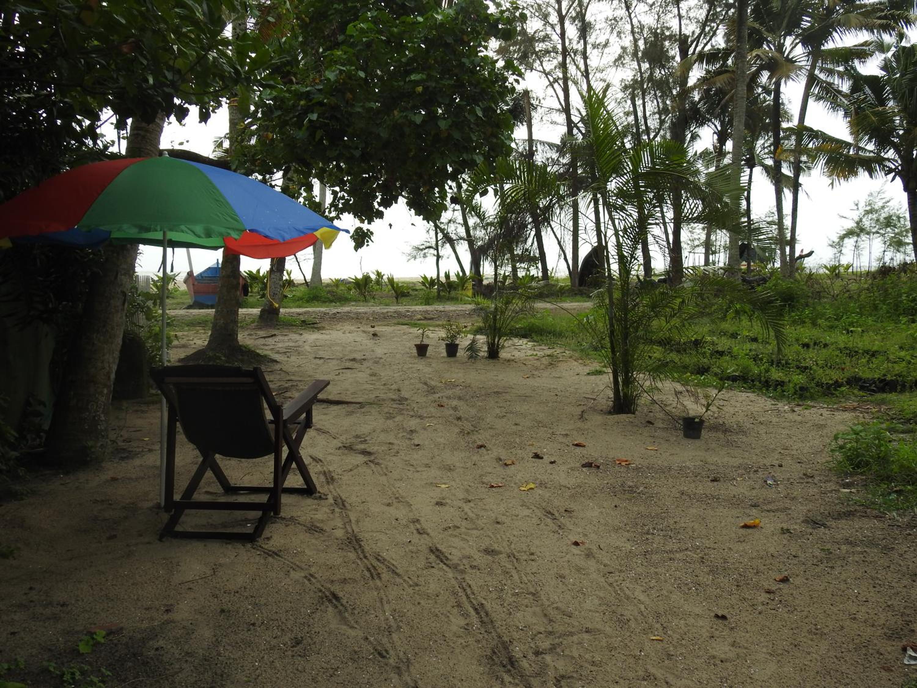 Photo 200