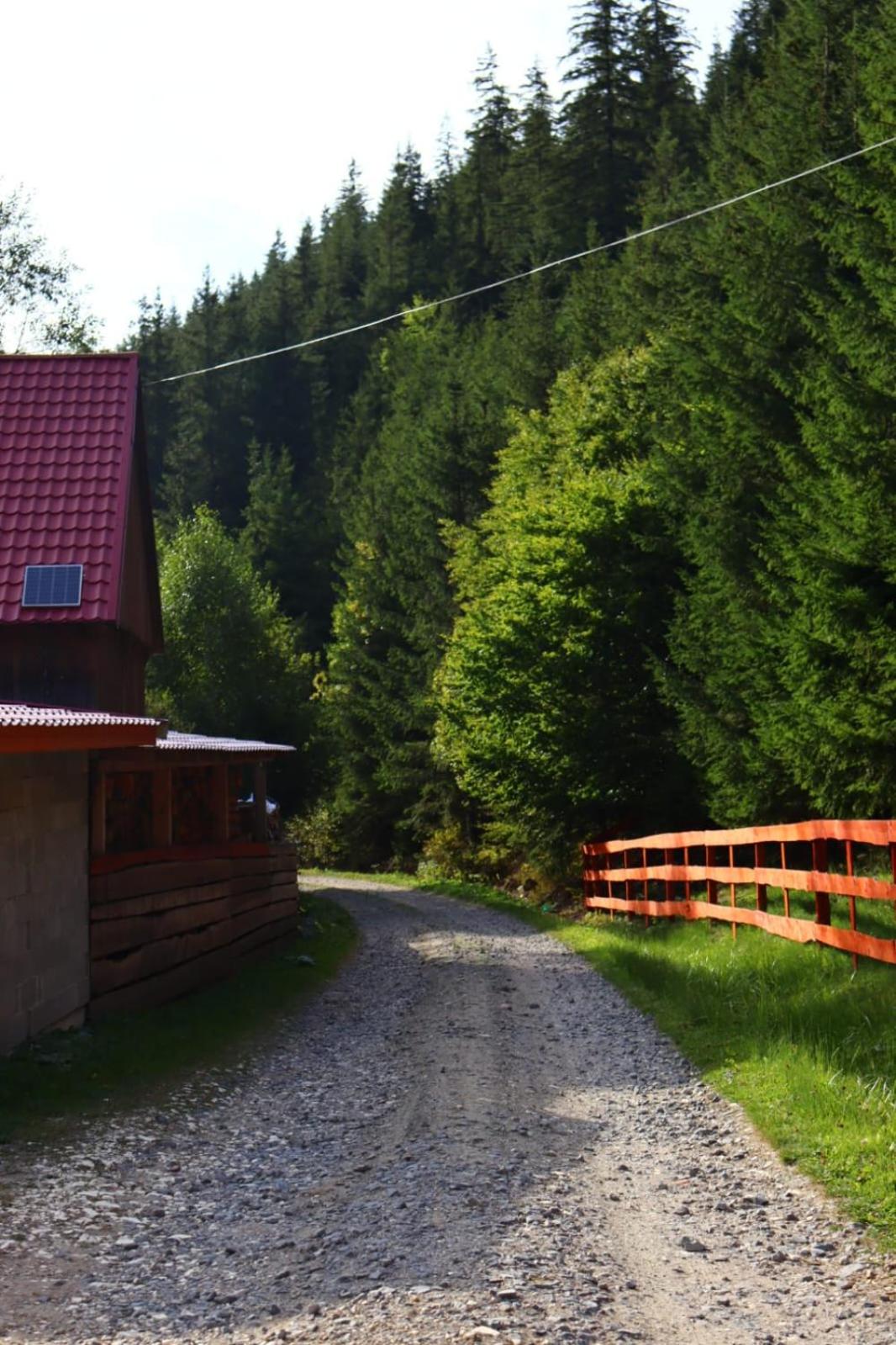 Photo 47